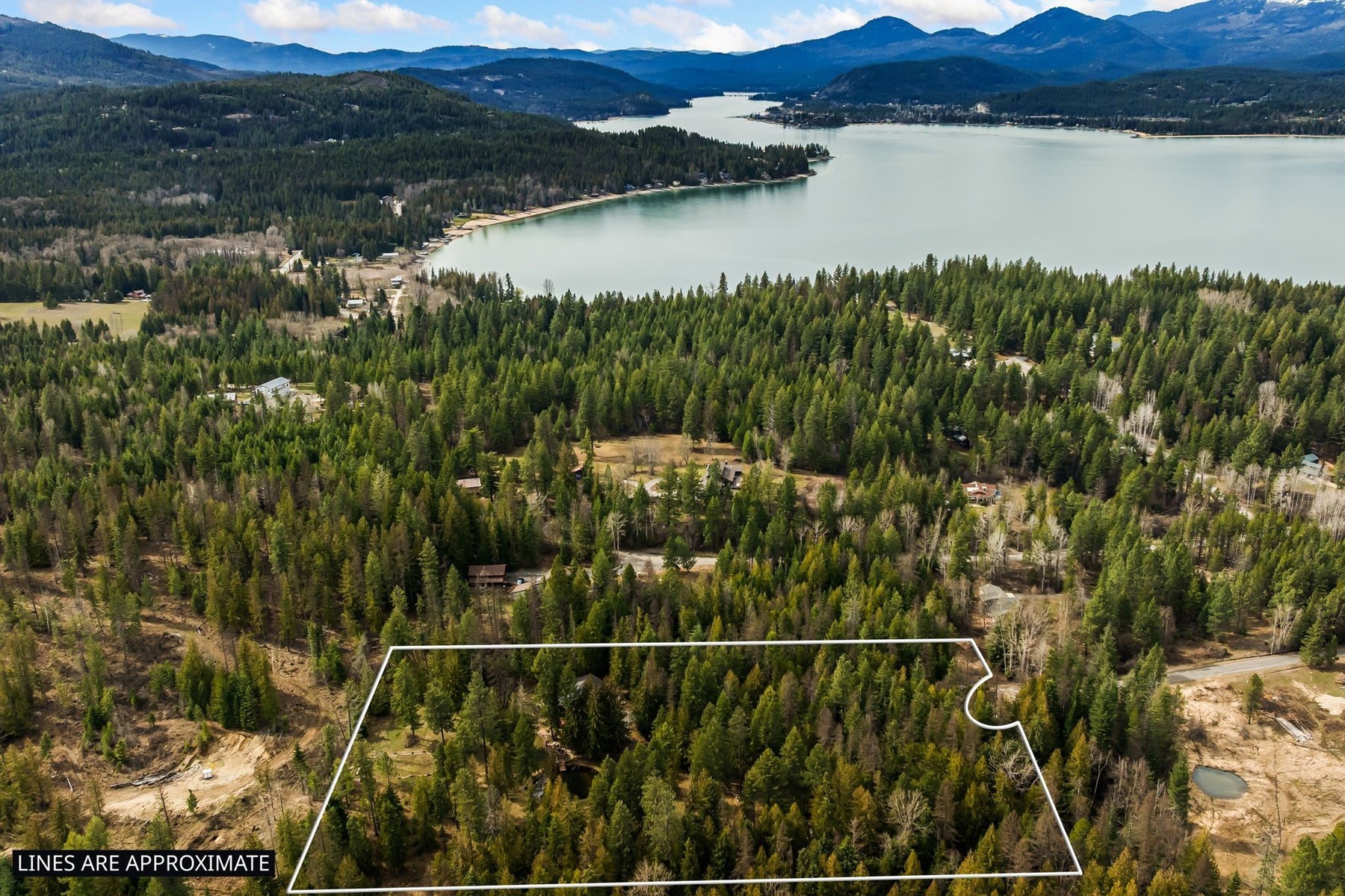  Tree Farm & Home on 6+ Acres - 物件實景