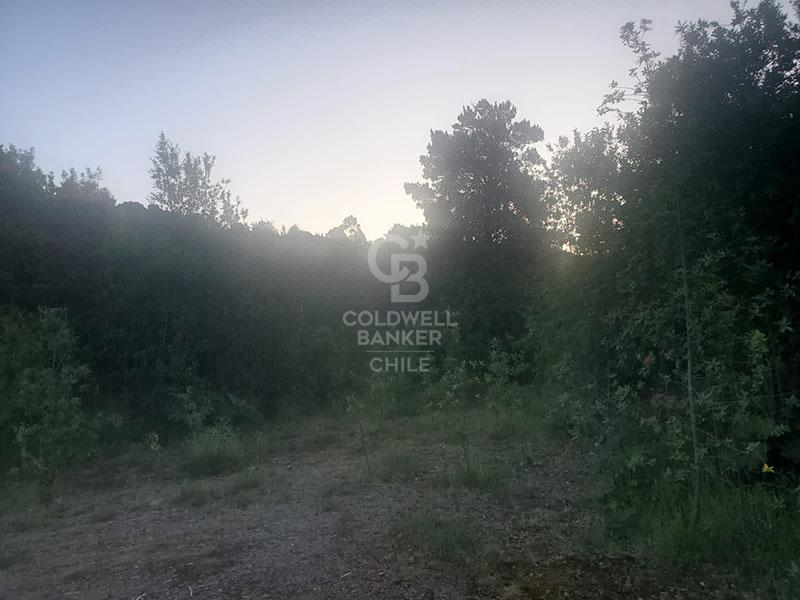 Puerto Montt, Chile, ,Land,For Sale,1993080