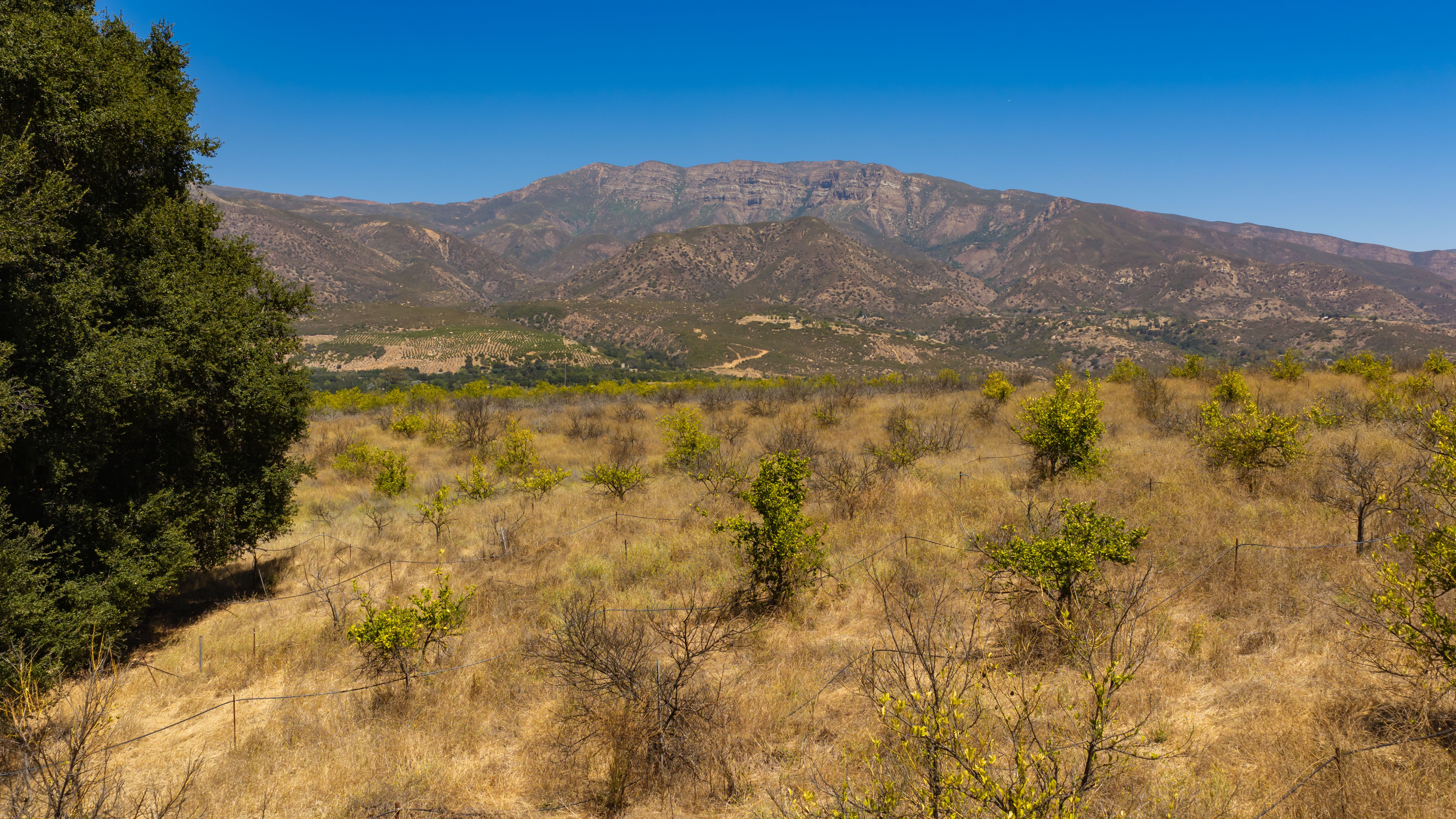  12400 Ojai Santa Paula, Ojai, CA 93023 - 物件實景