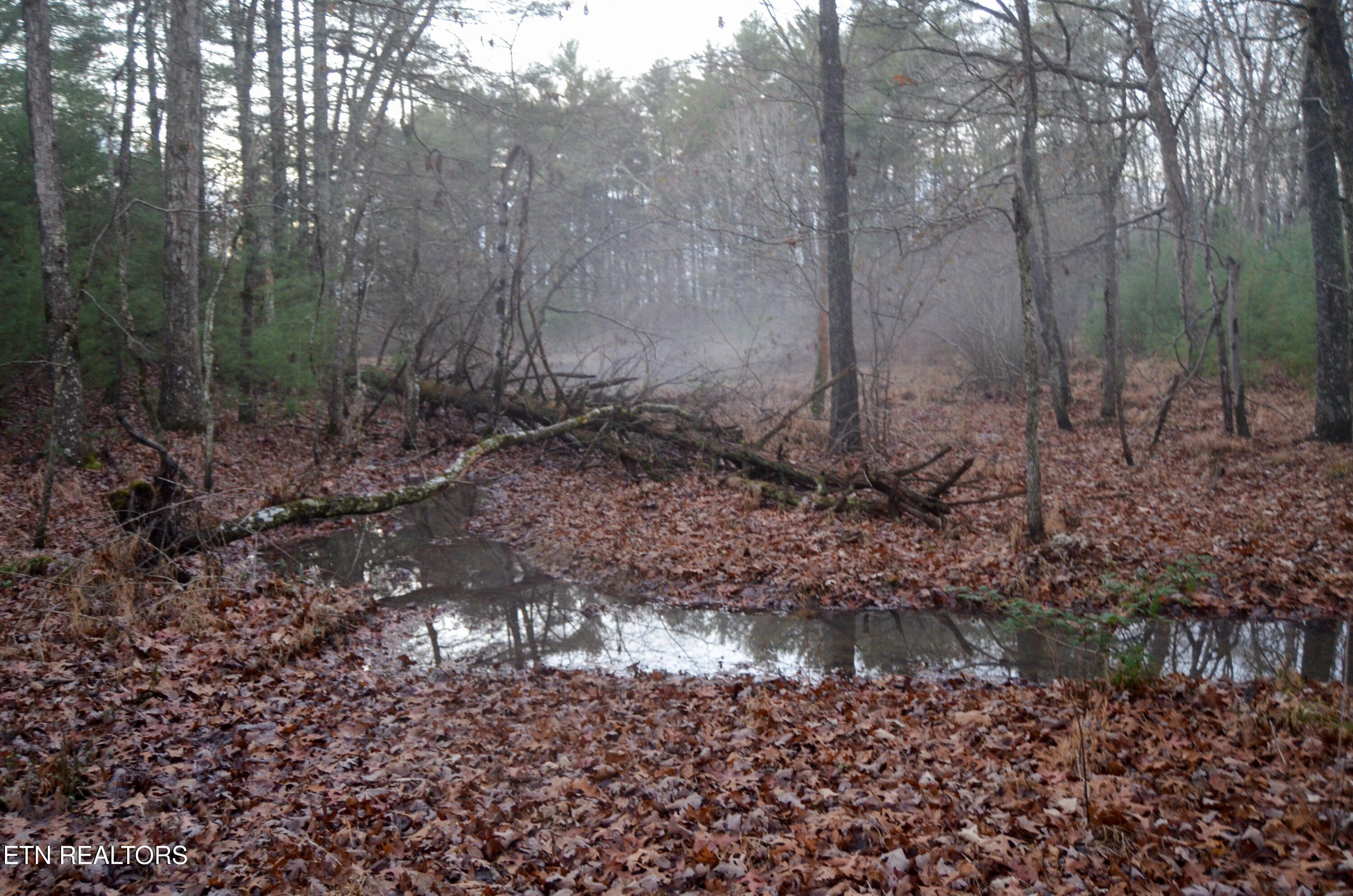 Crossville, Tennessee, 38555, United States, ,Land,For Sale,1978266