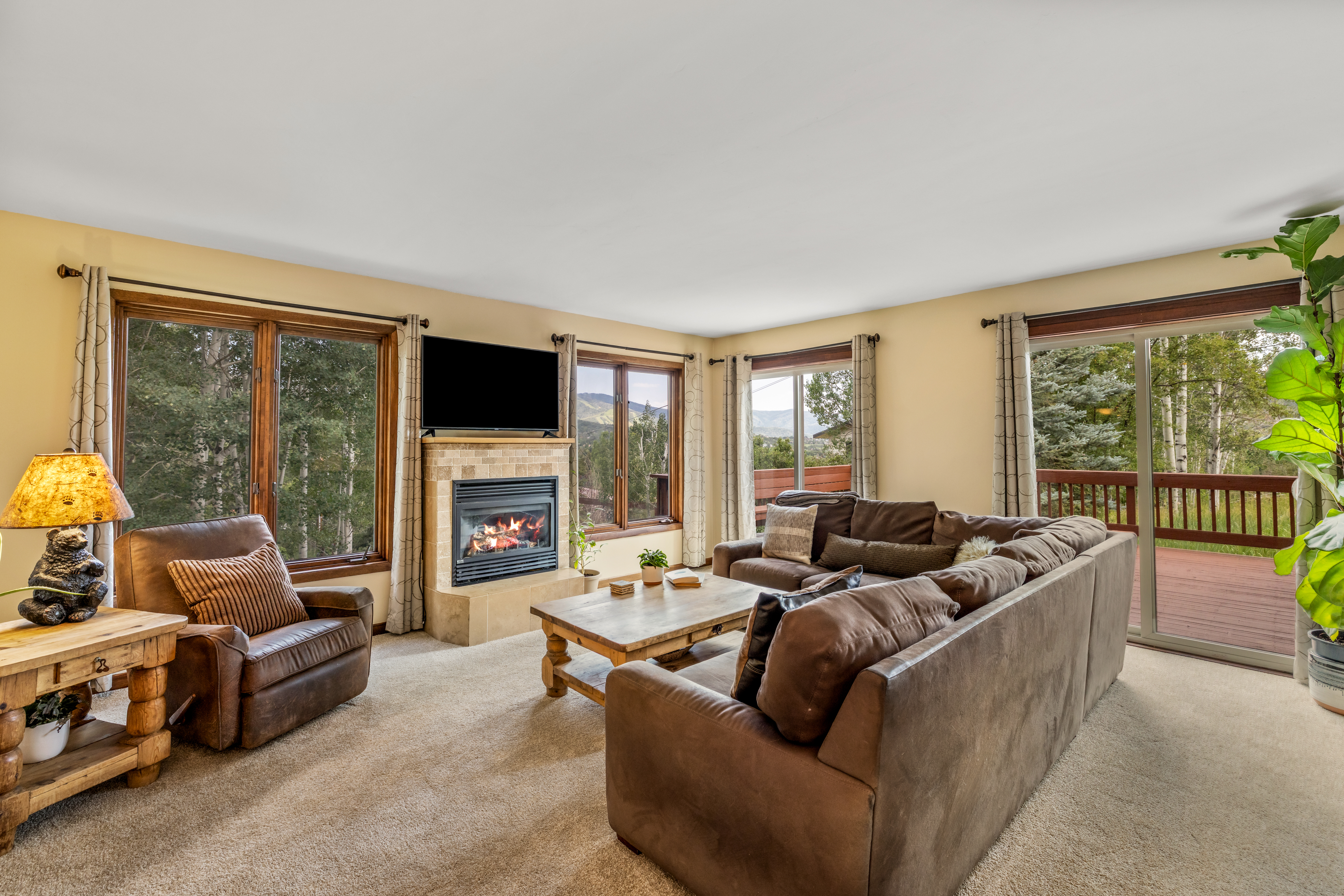  1141 Thornburg Street, Steamboat Springs, CO, 80487 - 物件實景