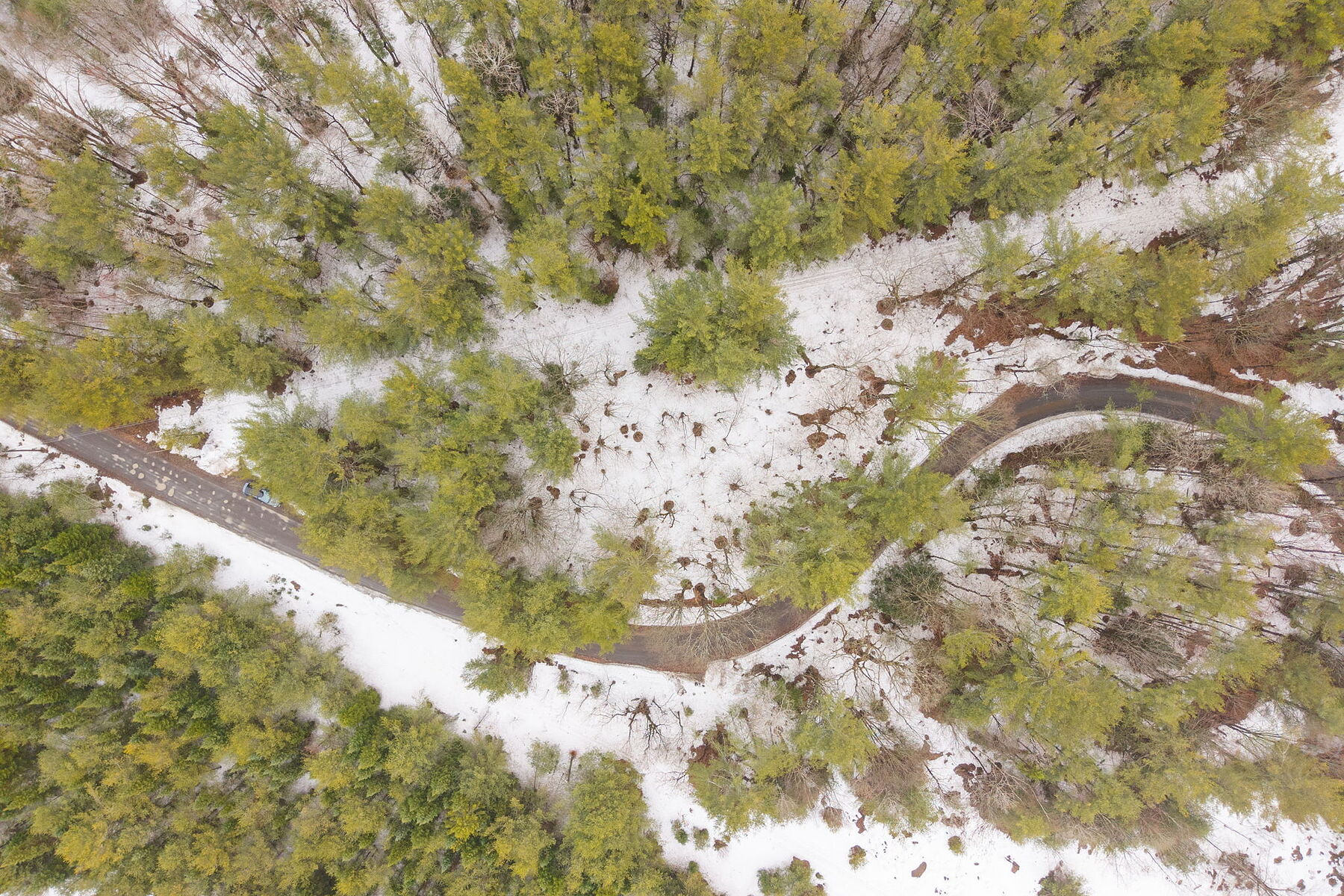  A Rare Muskoka Land Offering - 物件實景