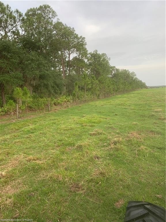 Venus, Florida, 33960, United States, ,Land,For Sale,1984372