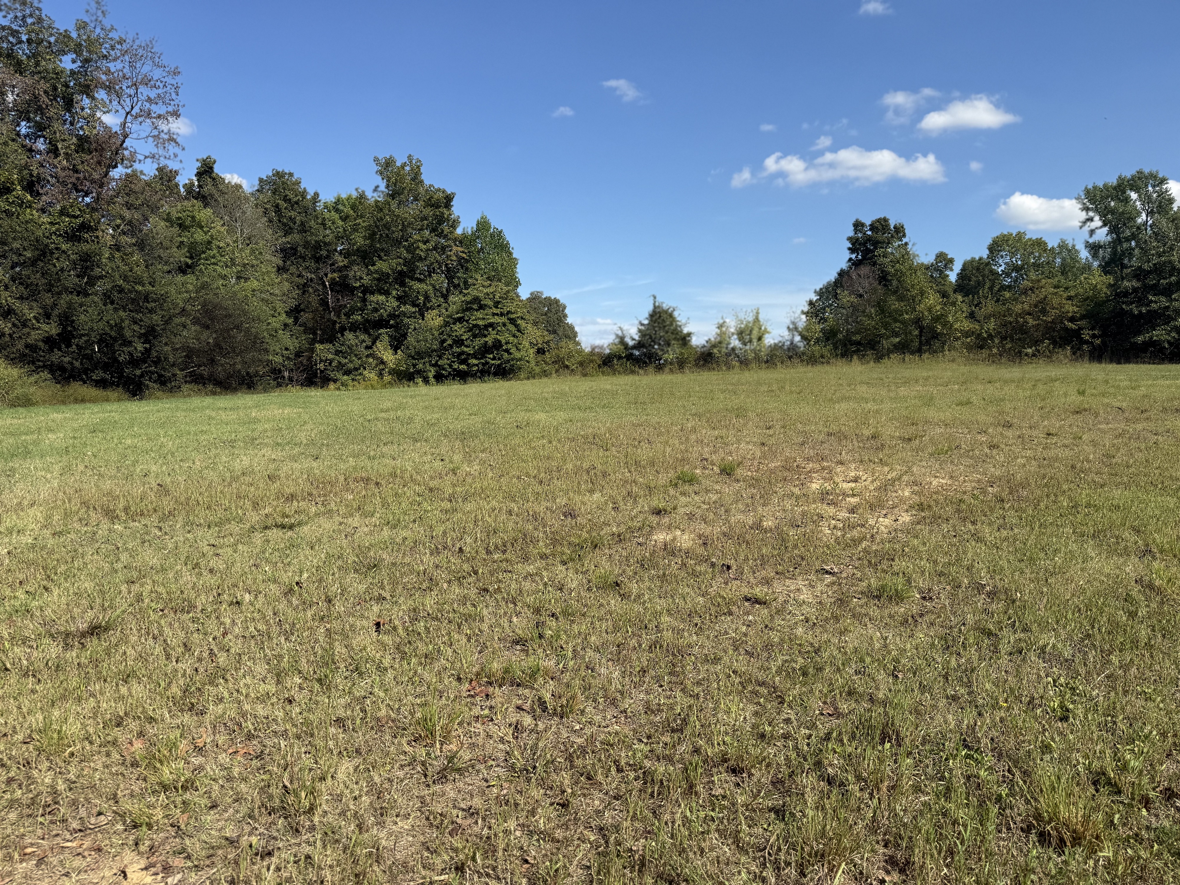 Union City, Tennessee, 38261, United States, ,Land,For Sale,1983547