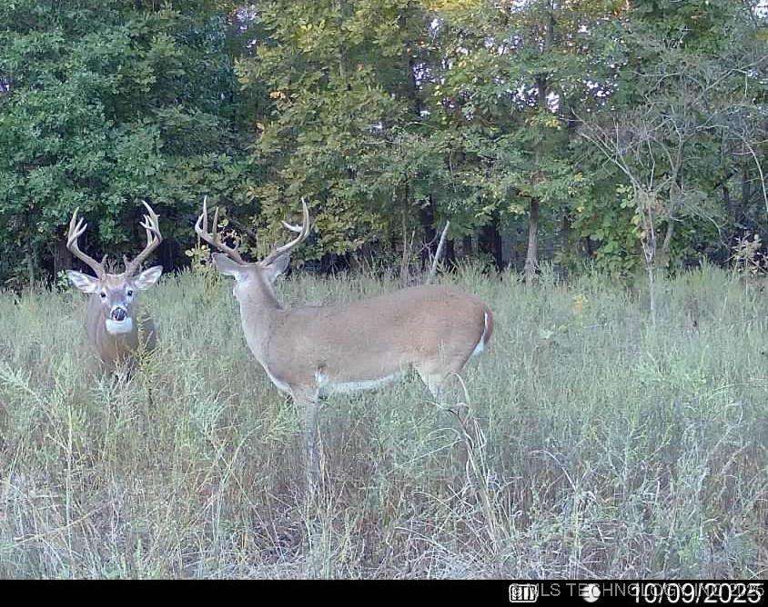 Haskell, Oklahoma, 74436, United States, ,Residential,For Sale,1989173