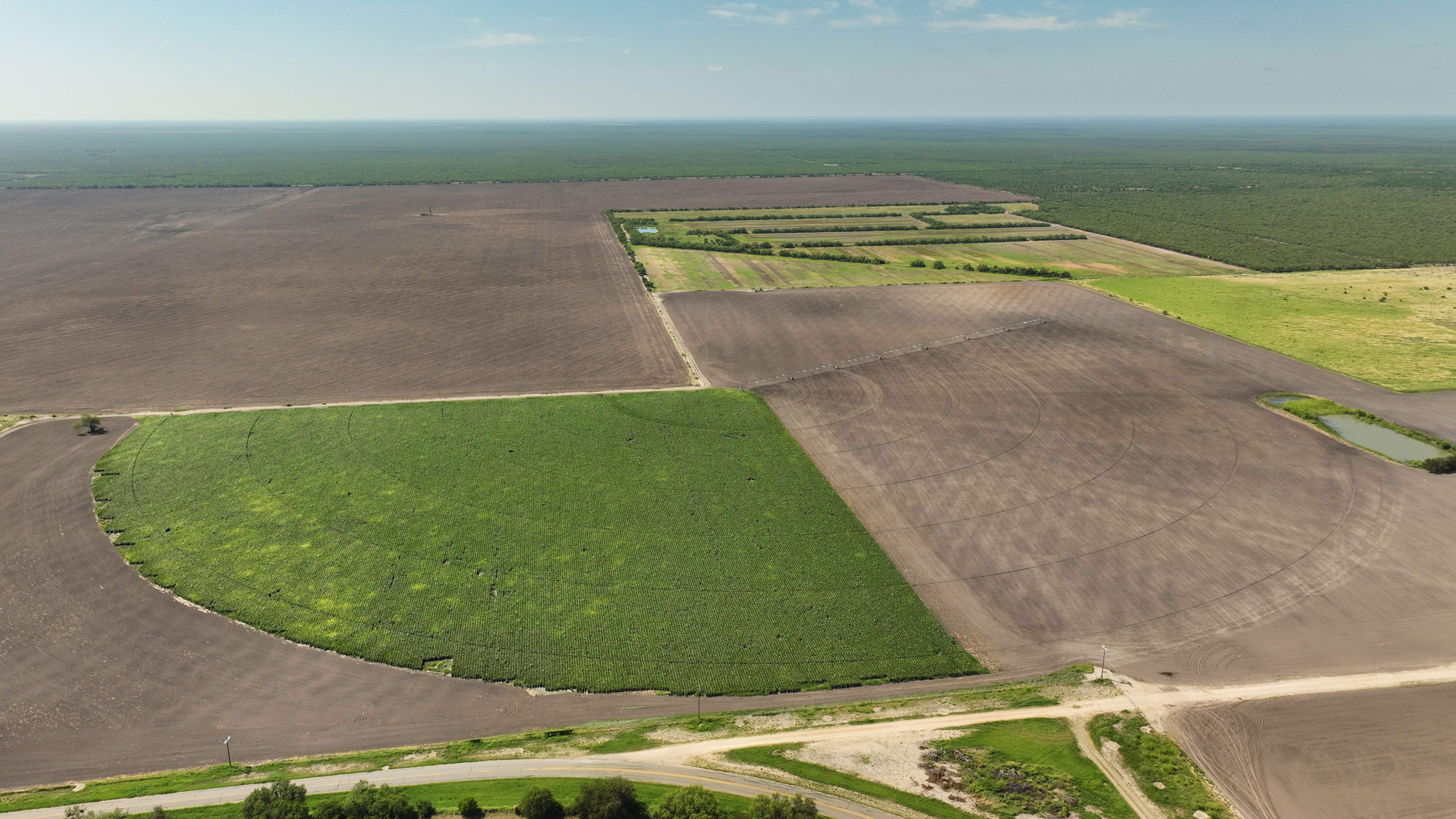  375+/- La Pryor Farm, Zavala County , La Pryor, TX 78872 - 物件實景