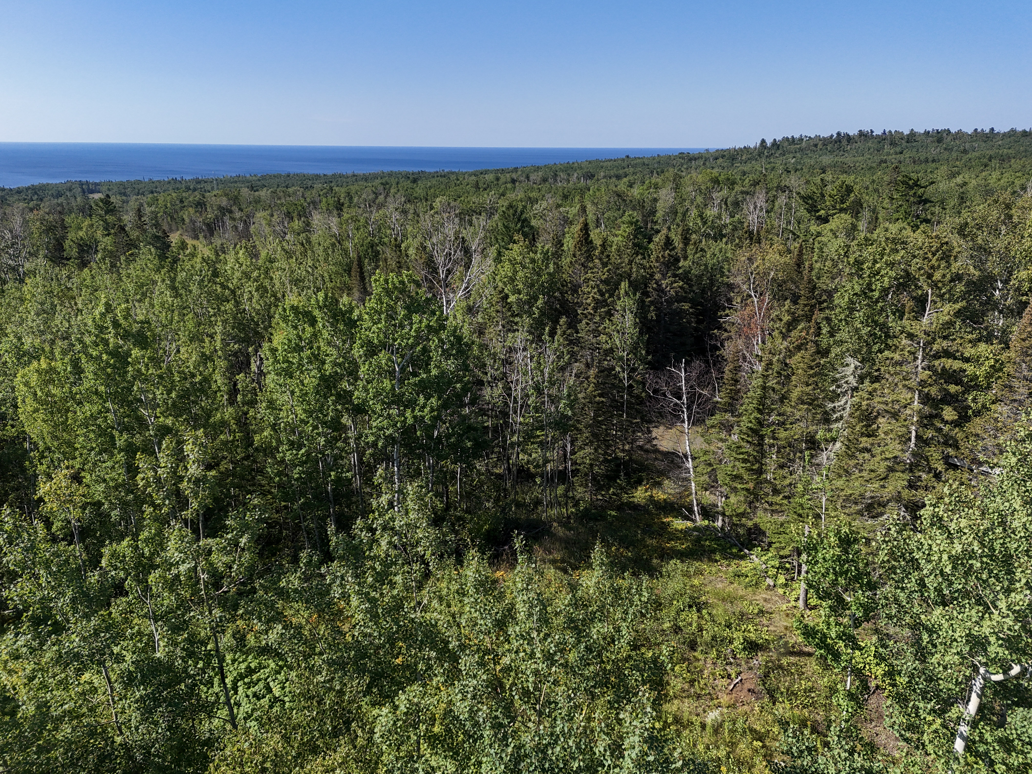  A Rare North Shore Homesite Near Grand Marais - 物件實景