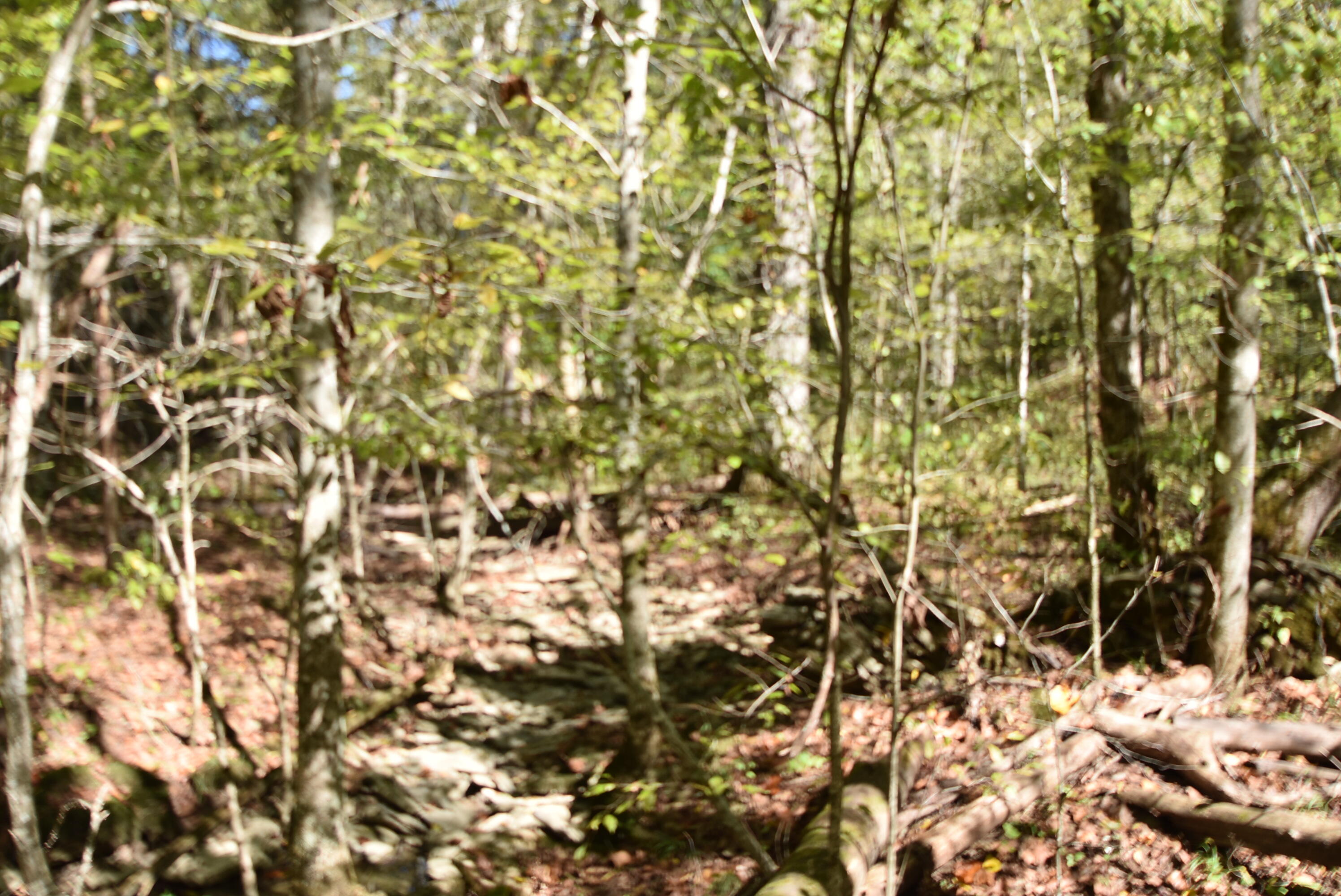 Willisburg, Kentucky, 40078, United States, 4 Bedrooms Bedrooms, ,1 BathroomBathrooms,Residential,For Sale,1962831