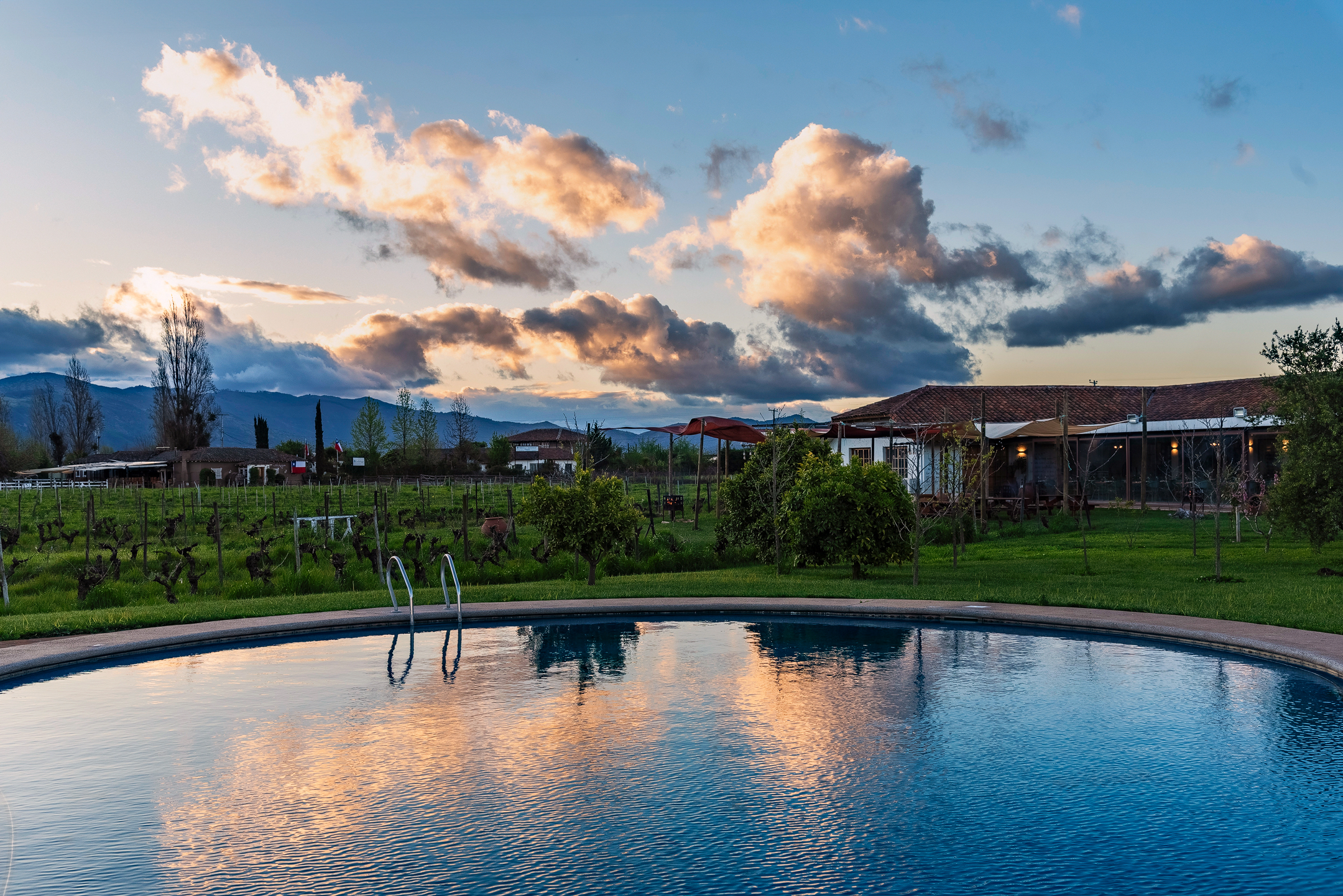 Chilean colonial-style mansion in a 3.3-hectare vineyard in Santa Cruz. - 物件實景