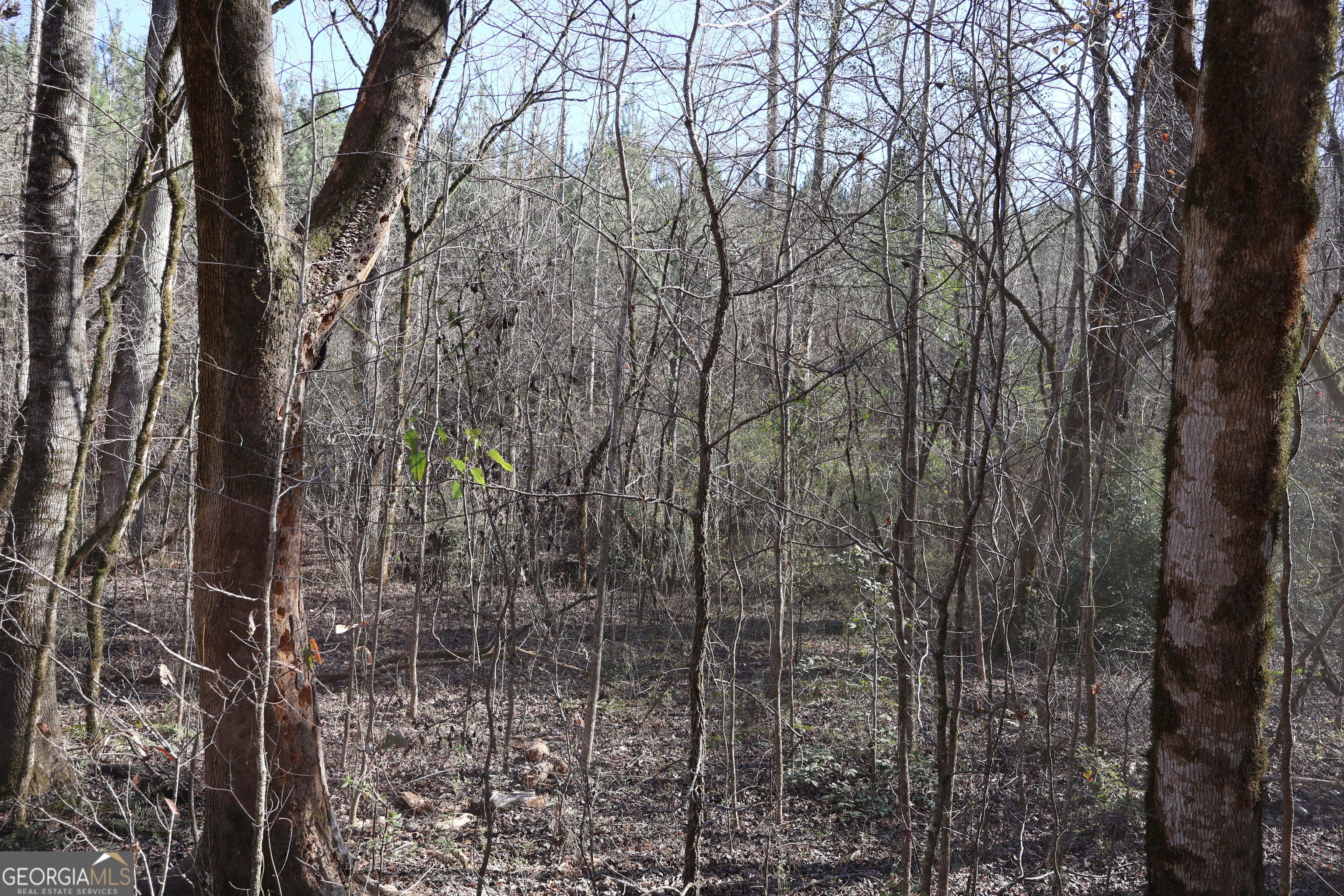 Forsyth, Georgia, 31029, United States, ,Land,For Sale,1858913