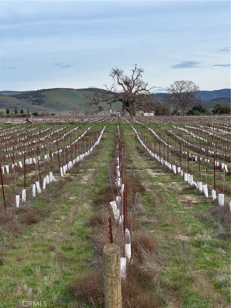 Lockwood, California, 93932, United States, ,Land,For Sale,2006086