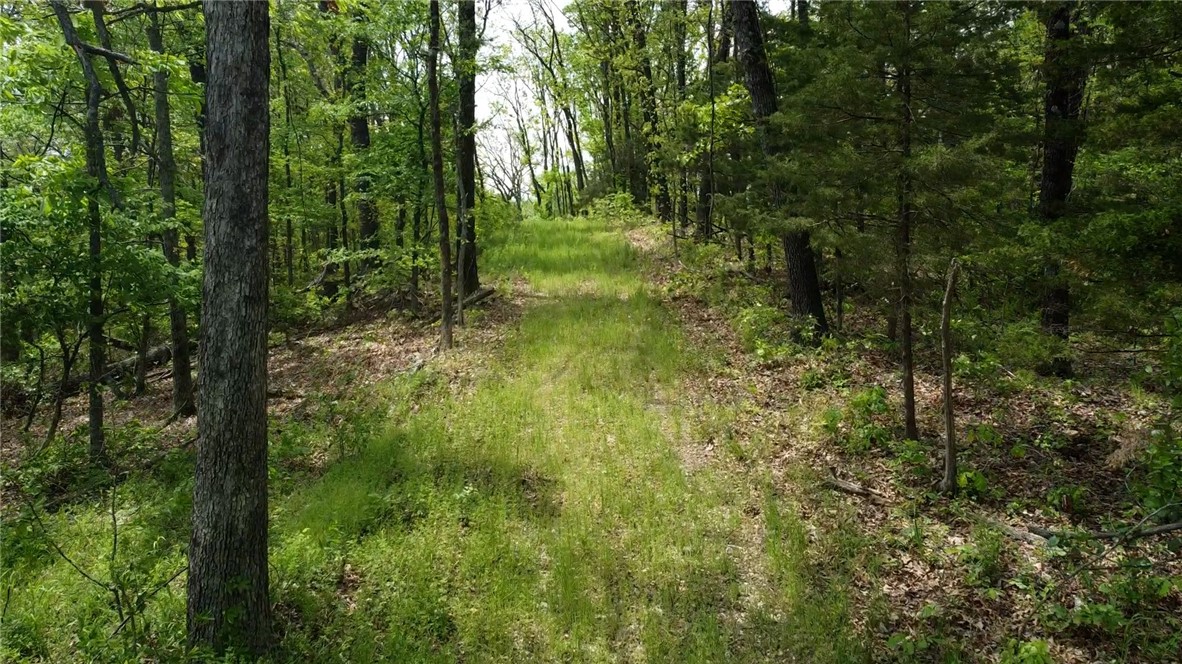 Garfield, Arkansas, 72732, United States, ,Land,For Sale,1804669