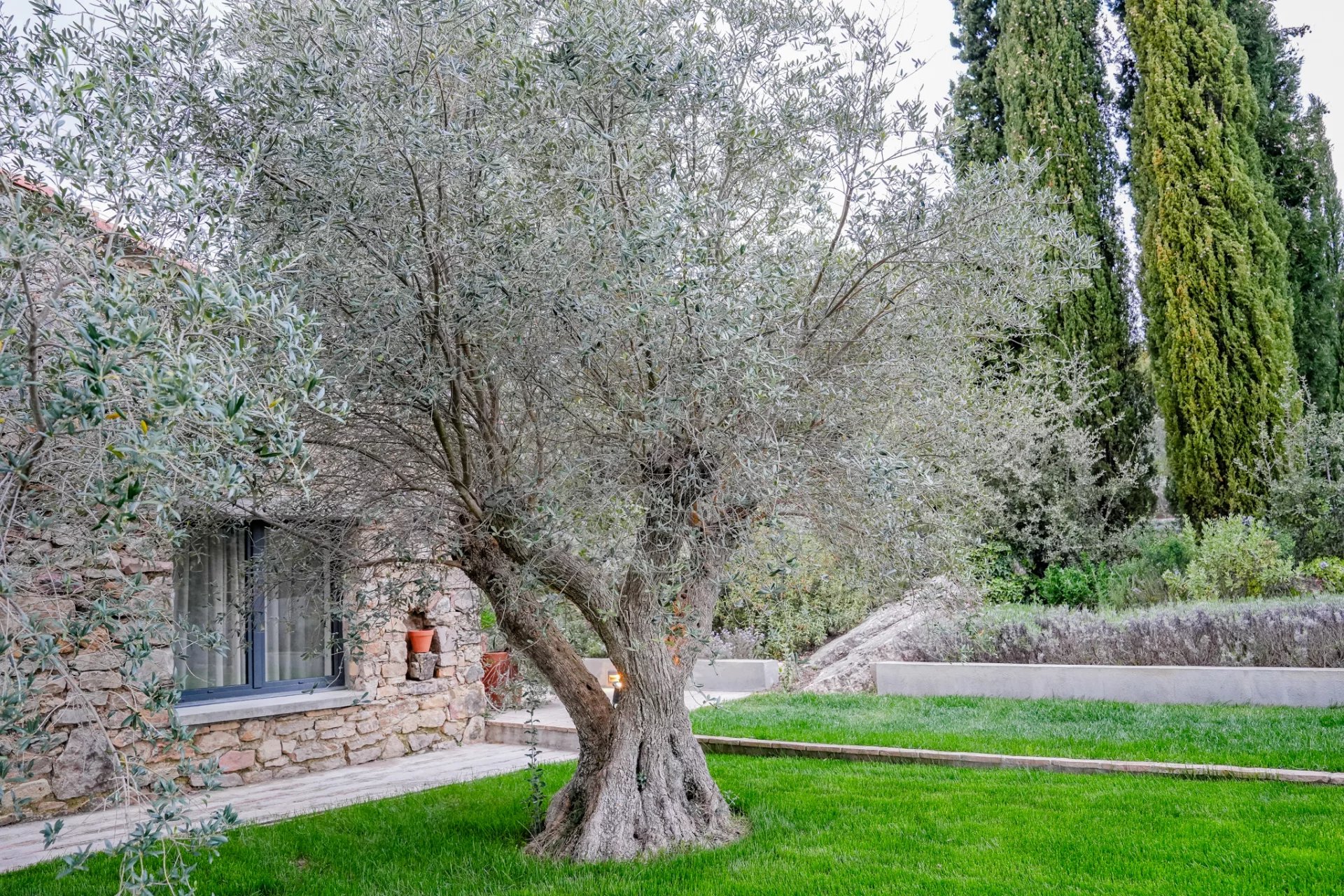 Flayosc, Provence-Alpes-Côte d’Azur, 83780, FR, 8 Bedrooms Bedrooms, ,7 BathroomsBathrooms,Residential,For Sale,1988944