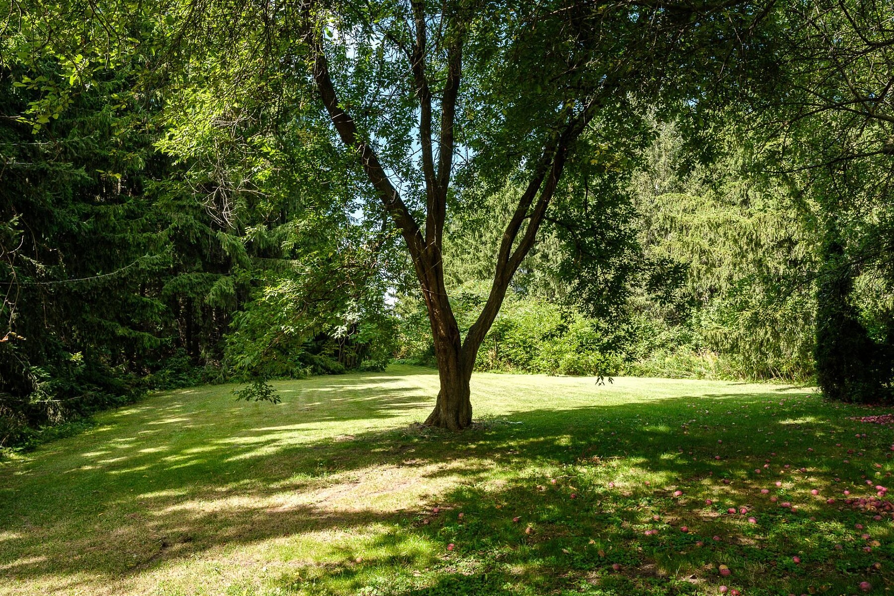  Varennes, Montérégie - 物件實景