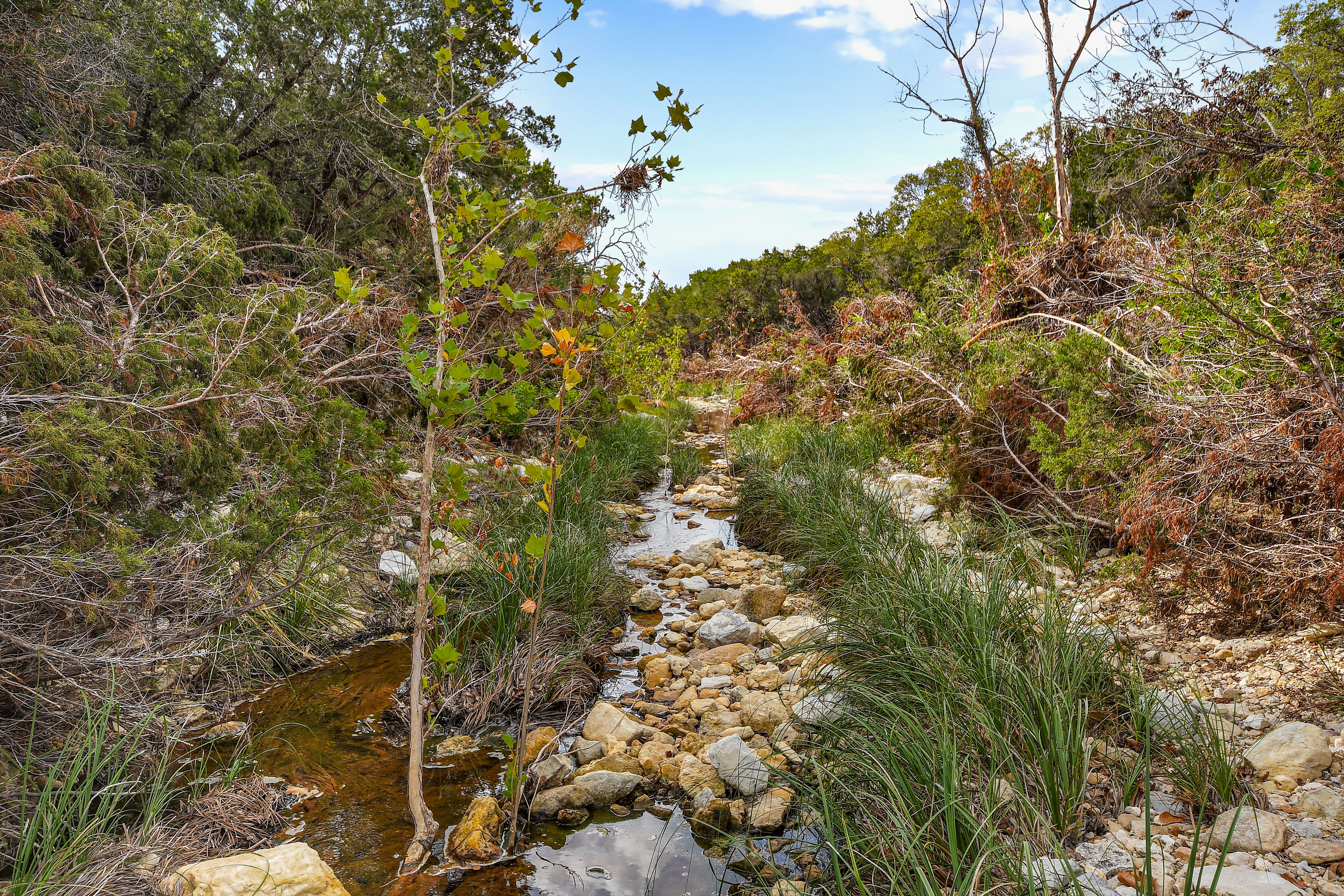 TBD Hwy 46 / Madrona Ranch Road, Pipe Creek, TX 78063 - 物件實景