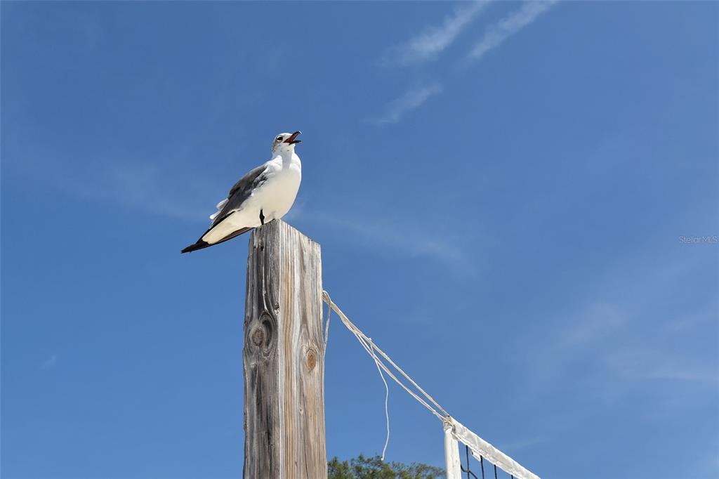 Bradenton, Florida, 34209, United States, 3 Bedrooms Bedrooms, ,2 BathroomsBathrooms,Residential,For Sale,2001818