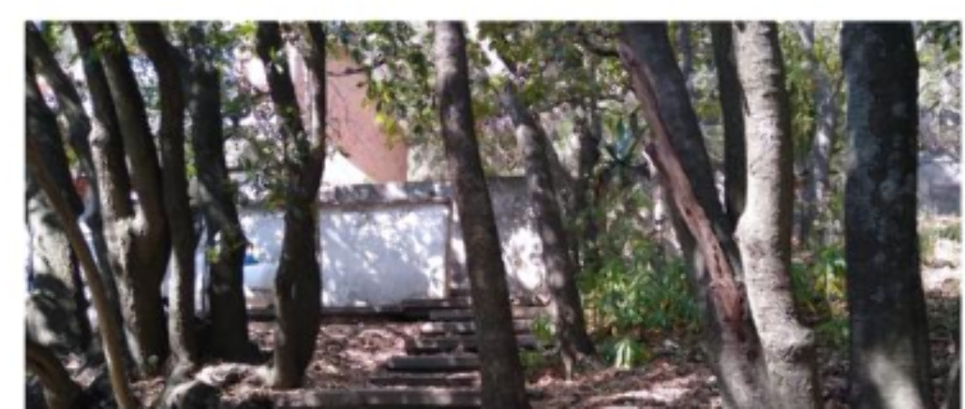 Avenida de los Cipreses, Naucalpan de Juárez, Estado de México, 53229, Mexico, 1 Bedroom Bedrooms, ,Residential,For Sale,Avenida de los Cipreses,1621732