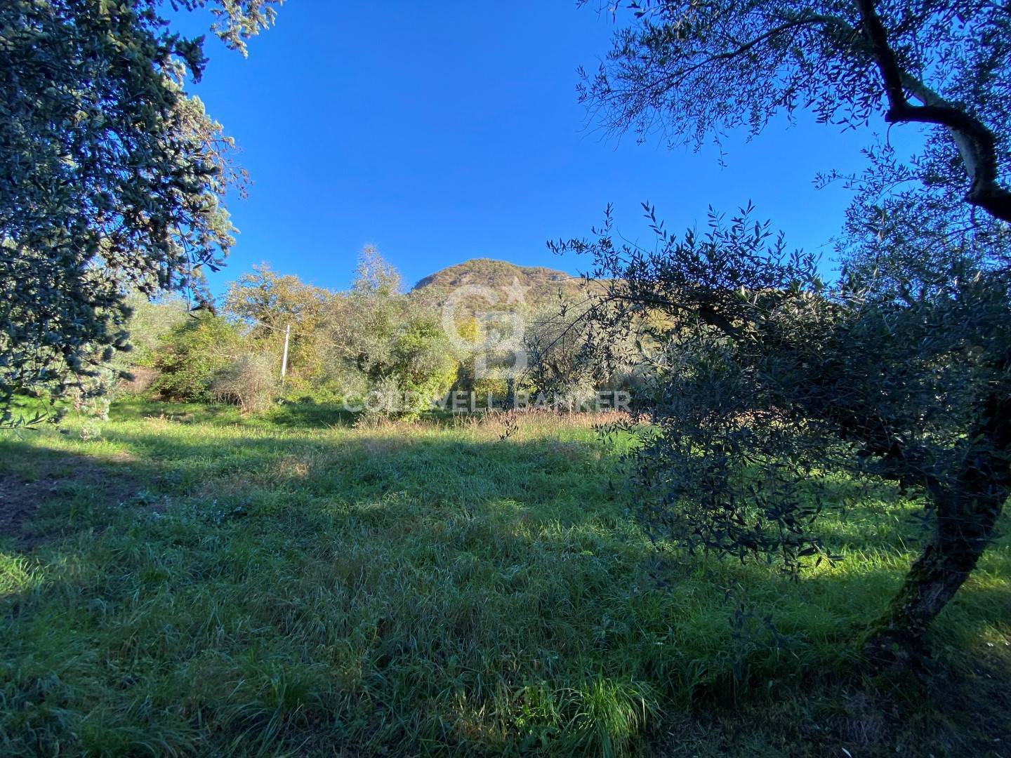 Viale dei Colli, Salò, Brescia, 25087, IT, 5 Bedrooms Bedrooms, ,4 BathroomsBathrooms,Residential,For Sale,Viale dei Colli,1612716