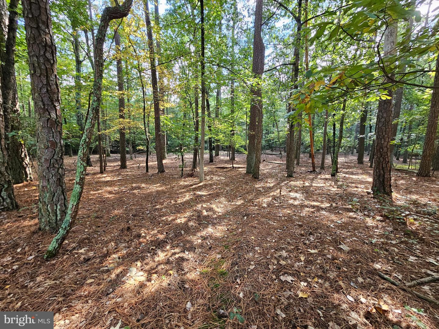 Eden, Maryland, 21822, United States, 5 Bedrooms Bedrooms, ,4 BathroomsBathrooms,Residential,For Sale,1940537