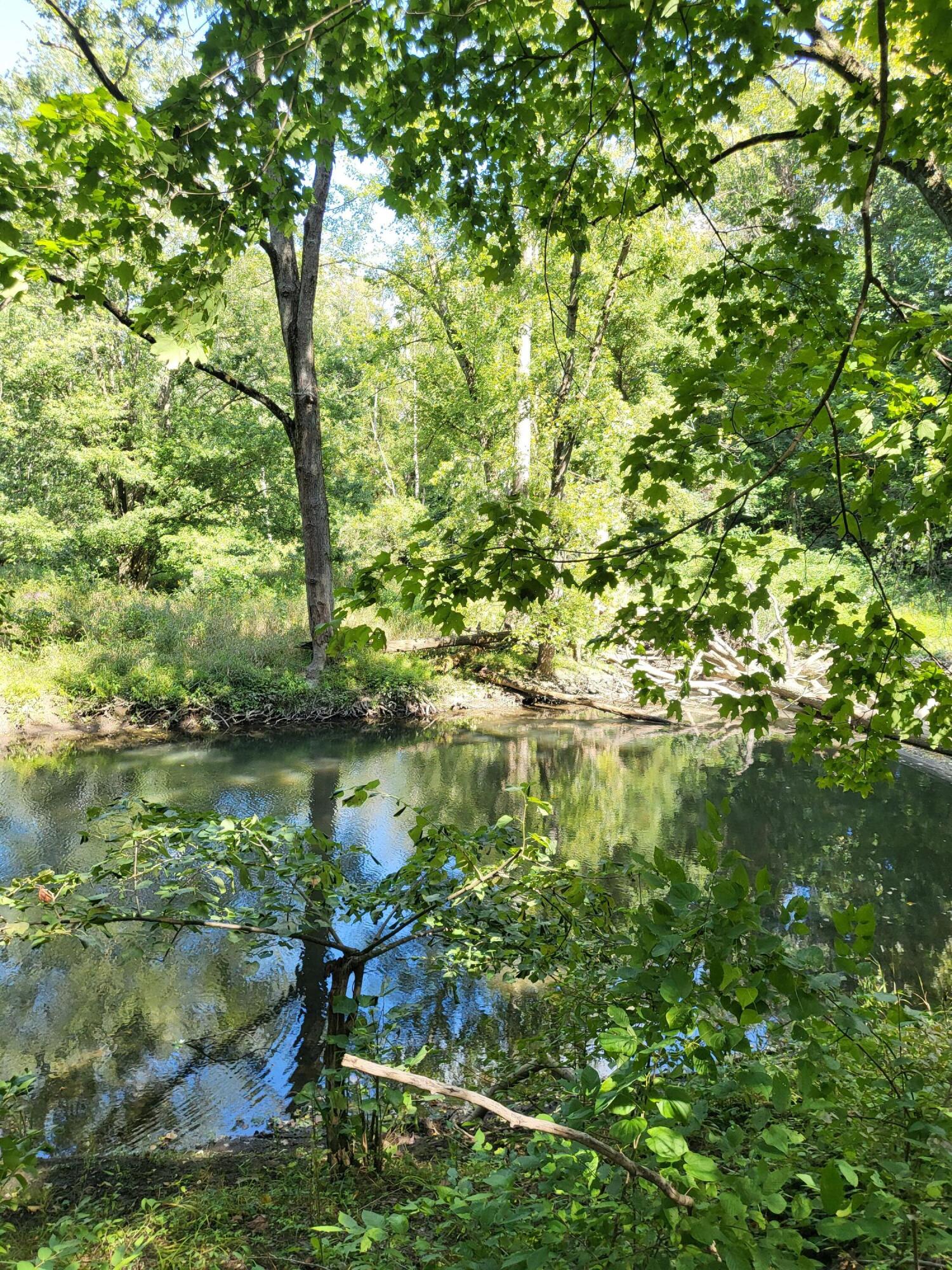 Union Pier, Michigan, 49129, United States, ,Land,For Sale,1988293