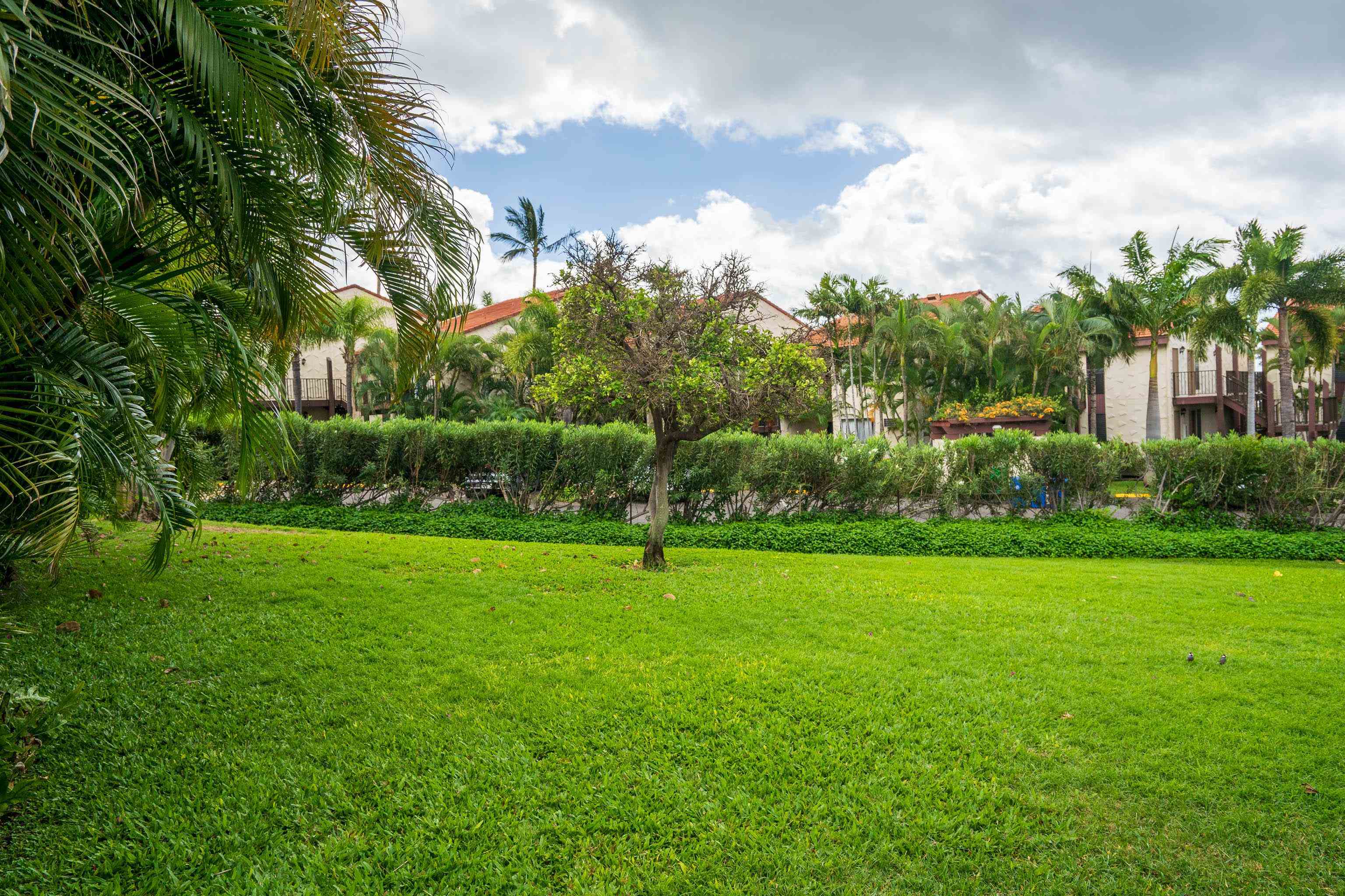 Kihei, Hawaii, 96753, United States, 1 Bedroom Bedrooms, ,2 BathroomsBathrooms,Residential,For Sale,1993352