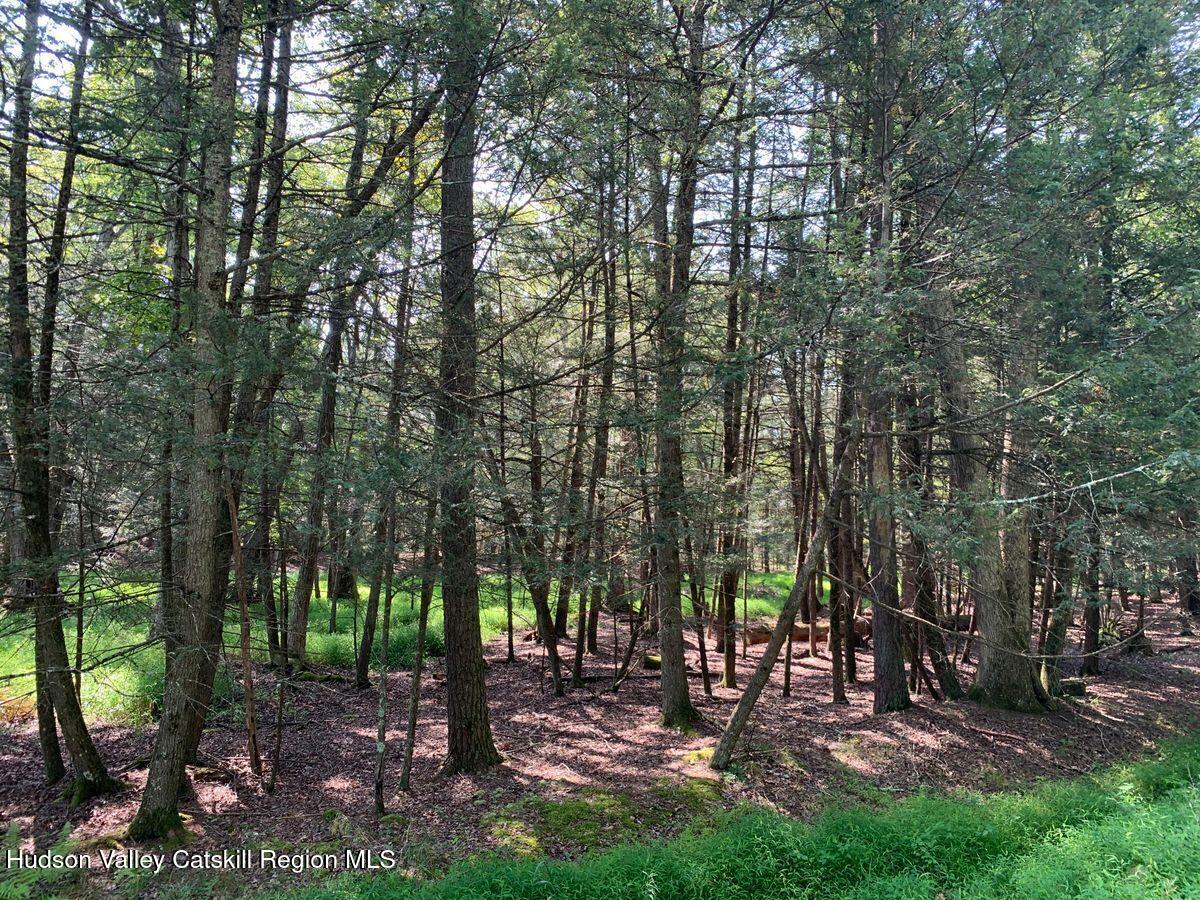 Woodstock, New York, 12498, United States, ,Residential,For Sale,1918259