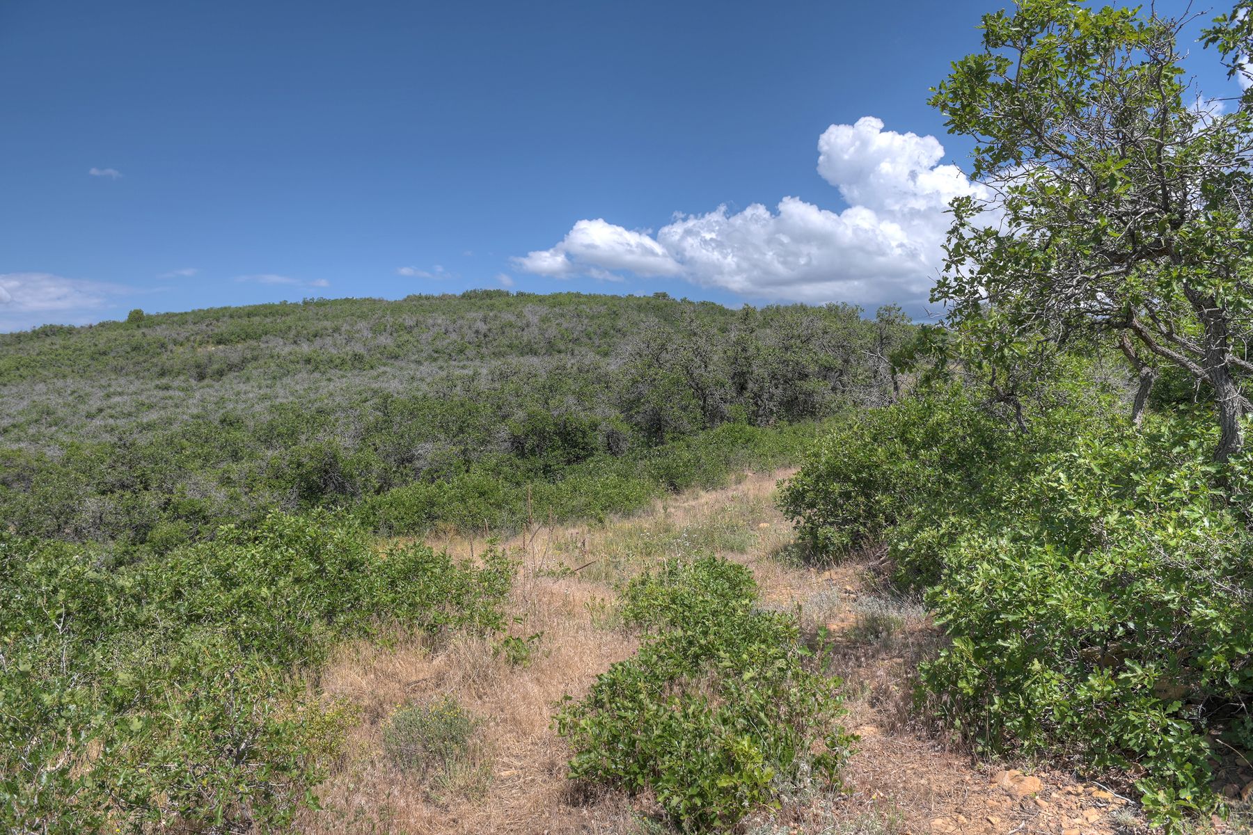  TBD Cross Creek Road, Hesperus, CO 81326 - 物件實景