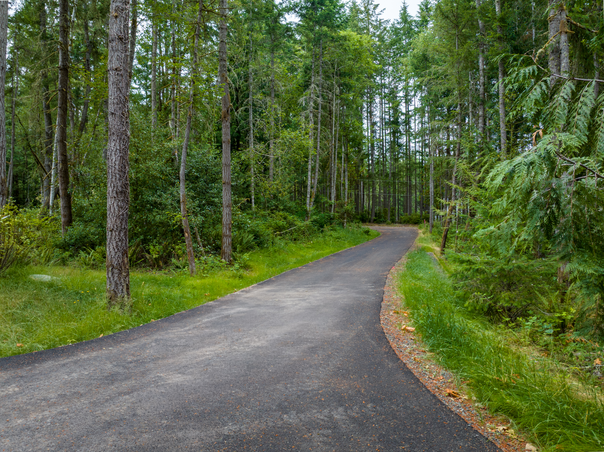 Lot B Bucsit Lane Northeast, Bainbridge Island, WA 98110 - 物件實景