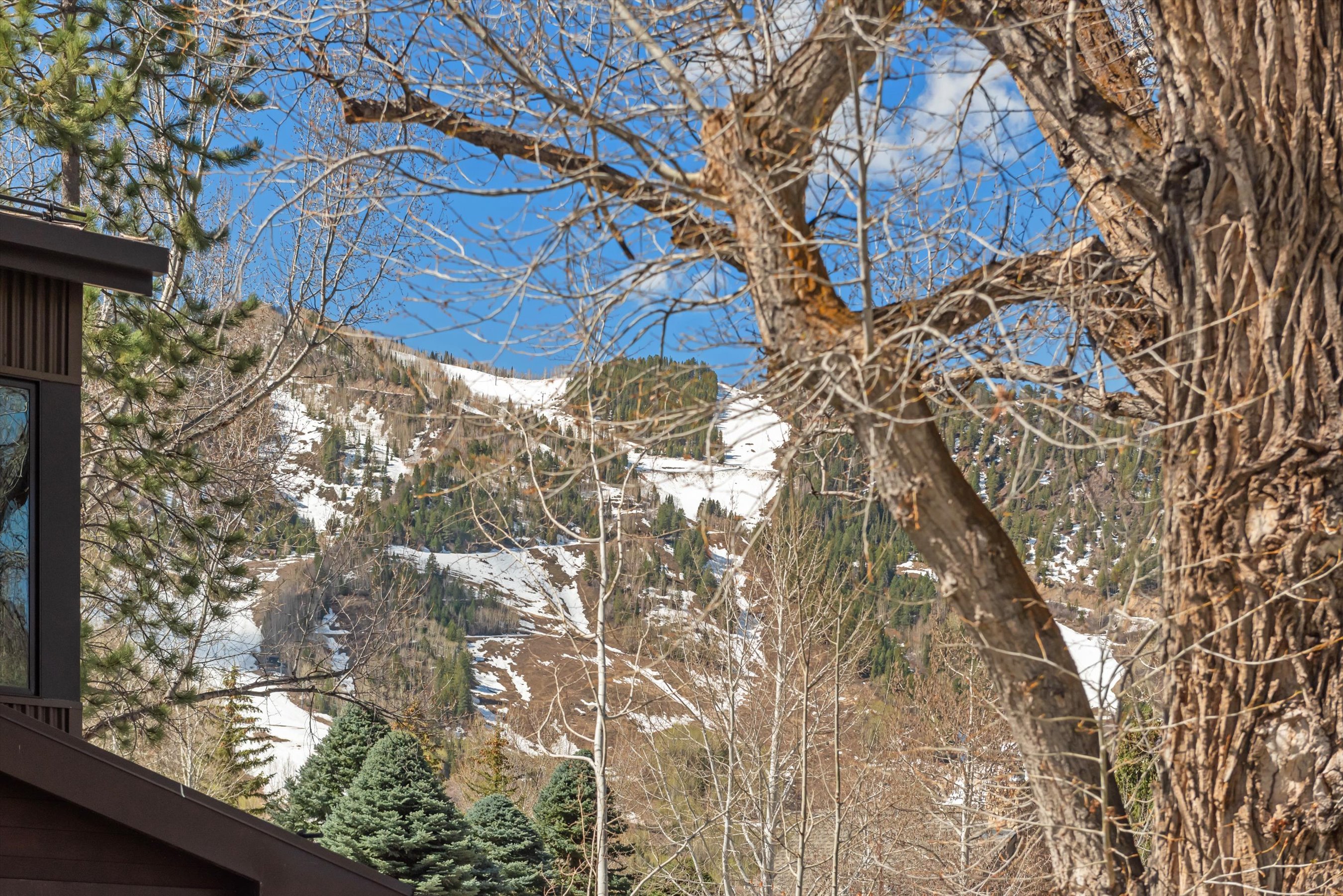  Best Value in Aspen - 物件實景
