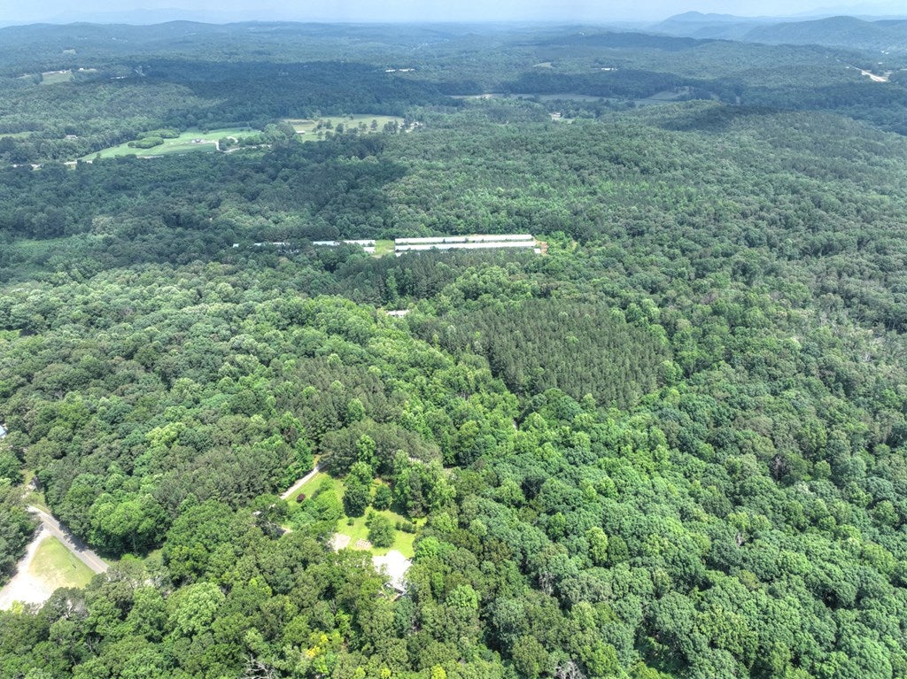 Talking Rock, Georgia, 30175, United States, 5 Bedrooms Bedrooms, ,4 BathroomsBathrooms,Residential,For Sale,1848832