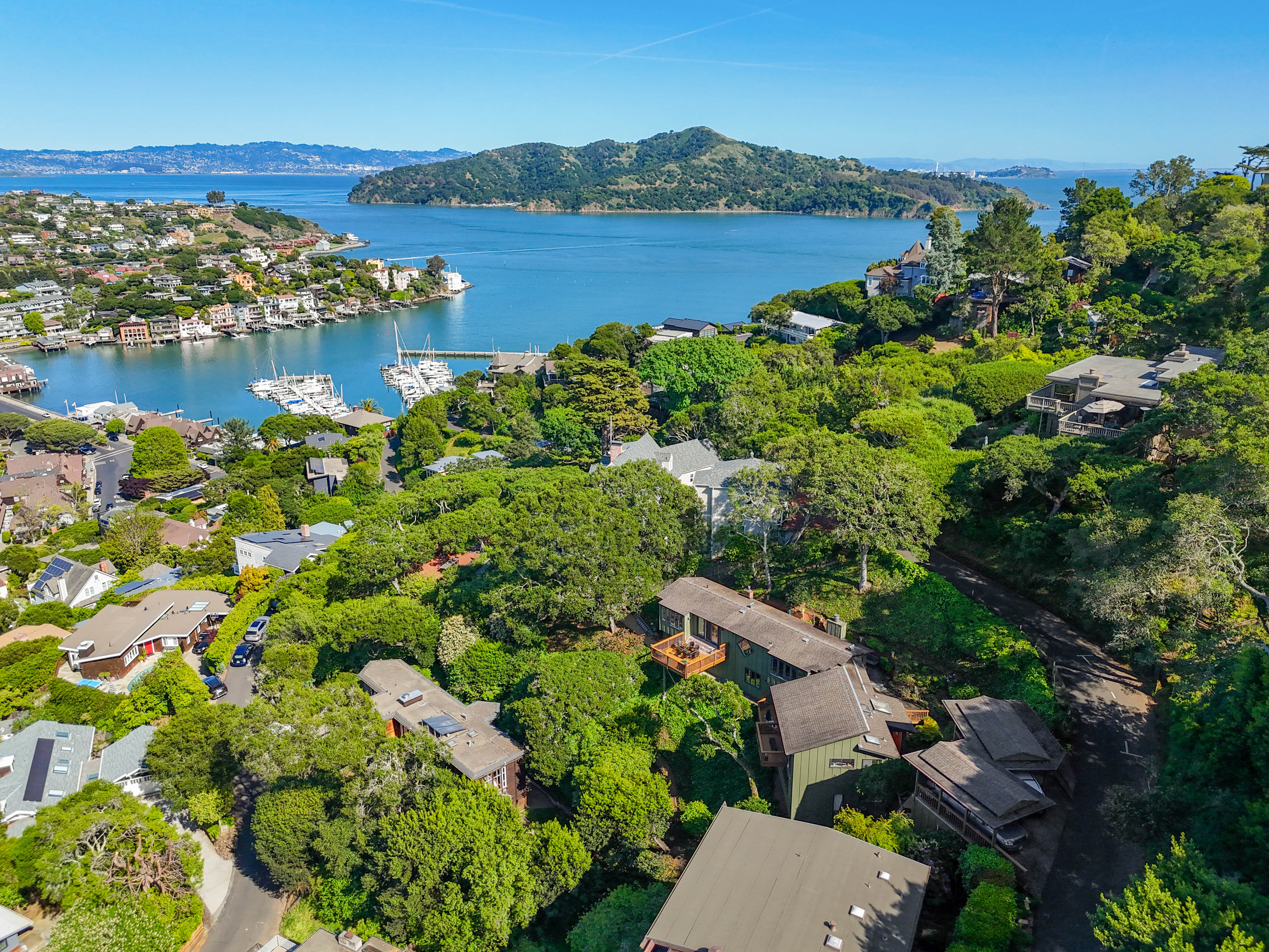  Fully Remodeled Mid Century Home in Belvedere - 物件實景