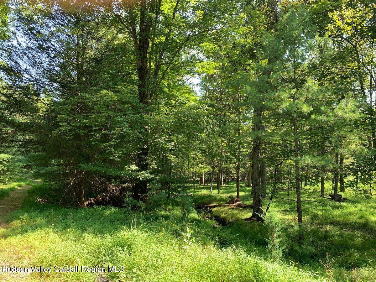 Woodstock, New York, 12498, United States, ,Residential,For Sale,1918259