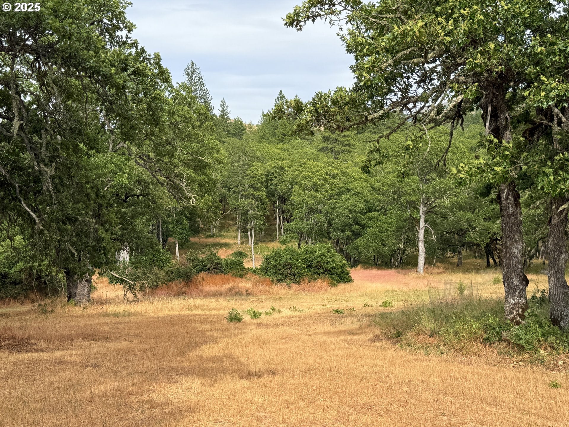 Lyle, Washington, 98635, United States, 3 Bedrooms Bedrooms, ,2 BathroomsBathrooms,Residential,For Sale,1875194