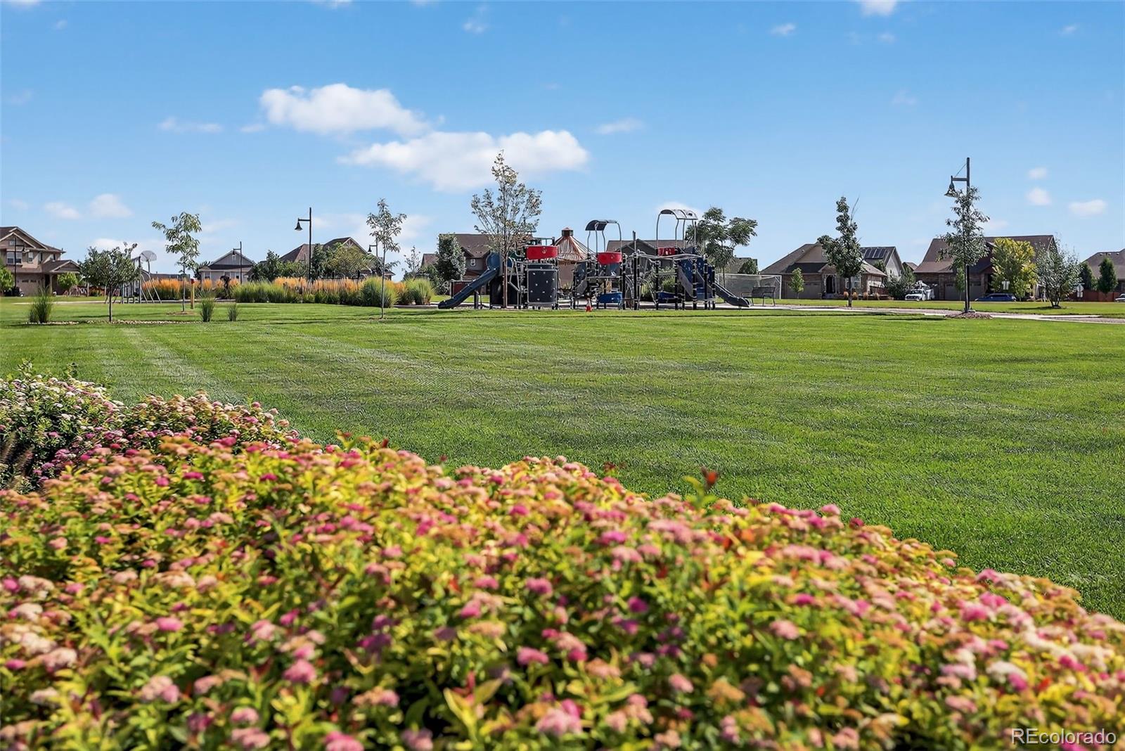 Thornton, Colorado, 80602, United States, 5 Bedrooms Bedrooms, ,3 BathroomsBathrooms,Residential,For Sale,1988172