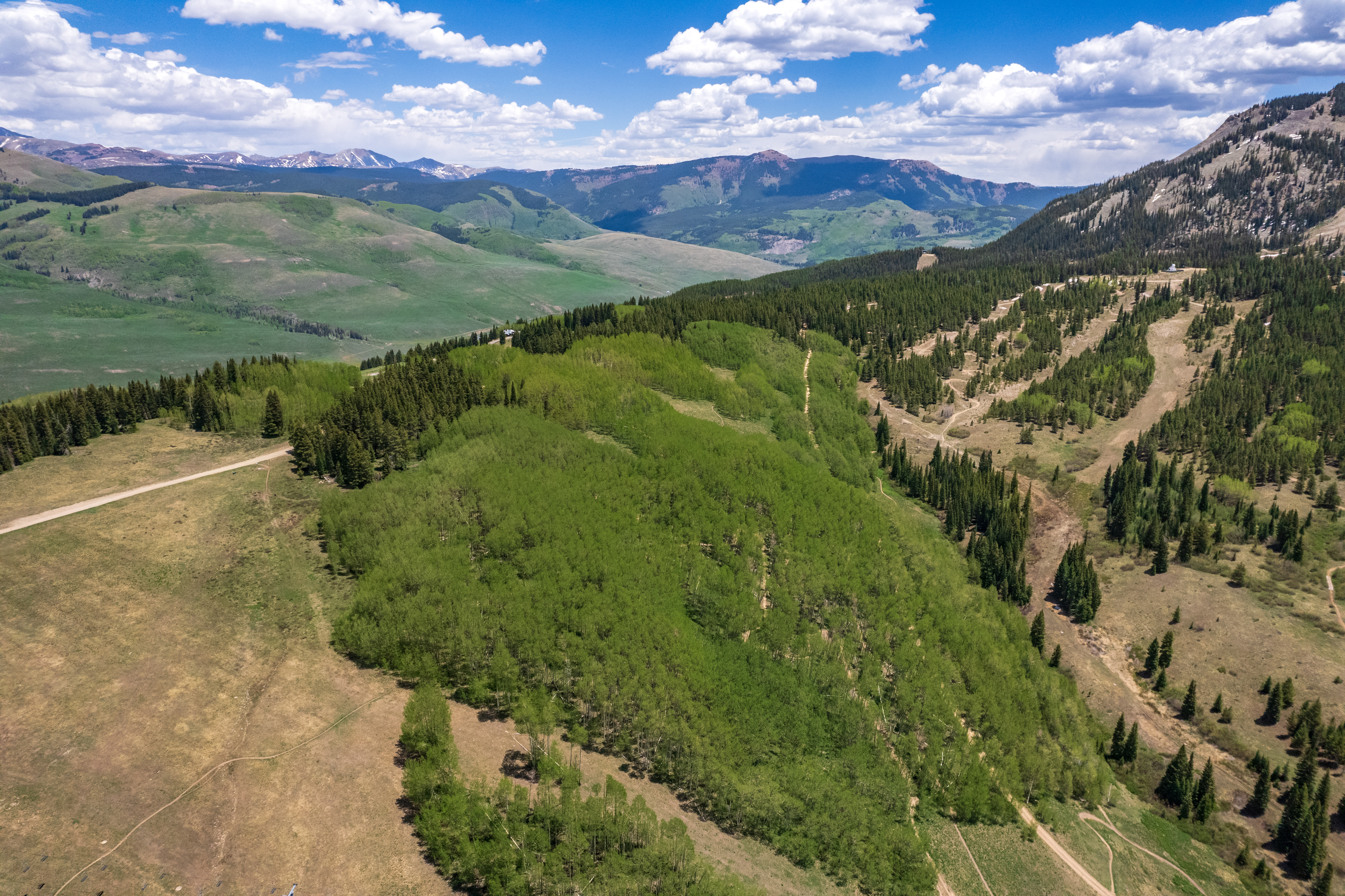  Homesite in Mt Crested Butte - E40 Prospect Drive - 物件實景
