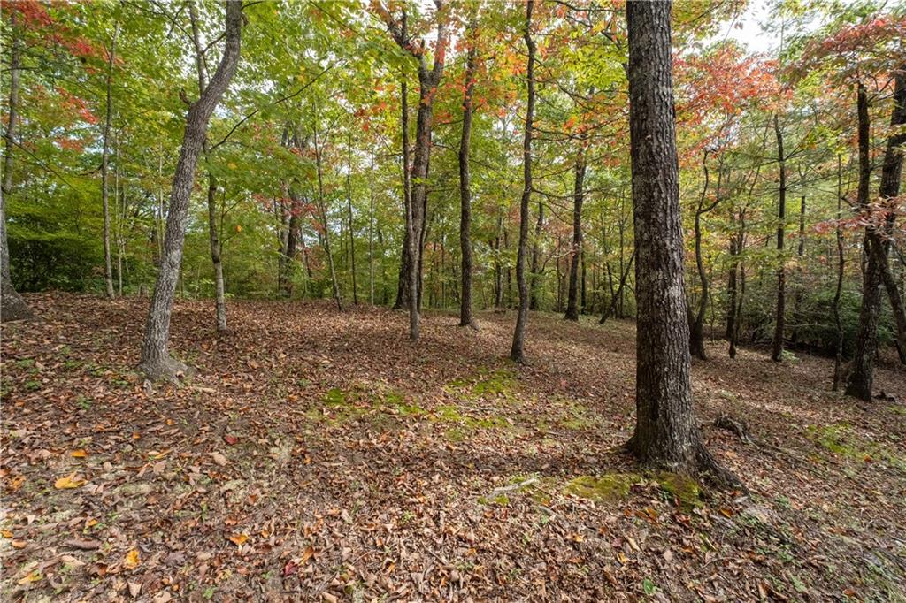 Clayton, Georgia, 30525, United States, 3 Bedrooms Bedrooms, ,3 BathroomsBathrooms,Residential,For Sale,1962325