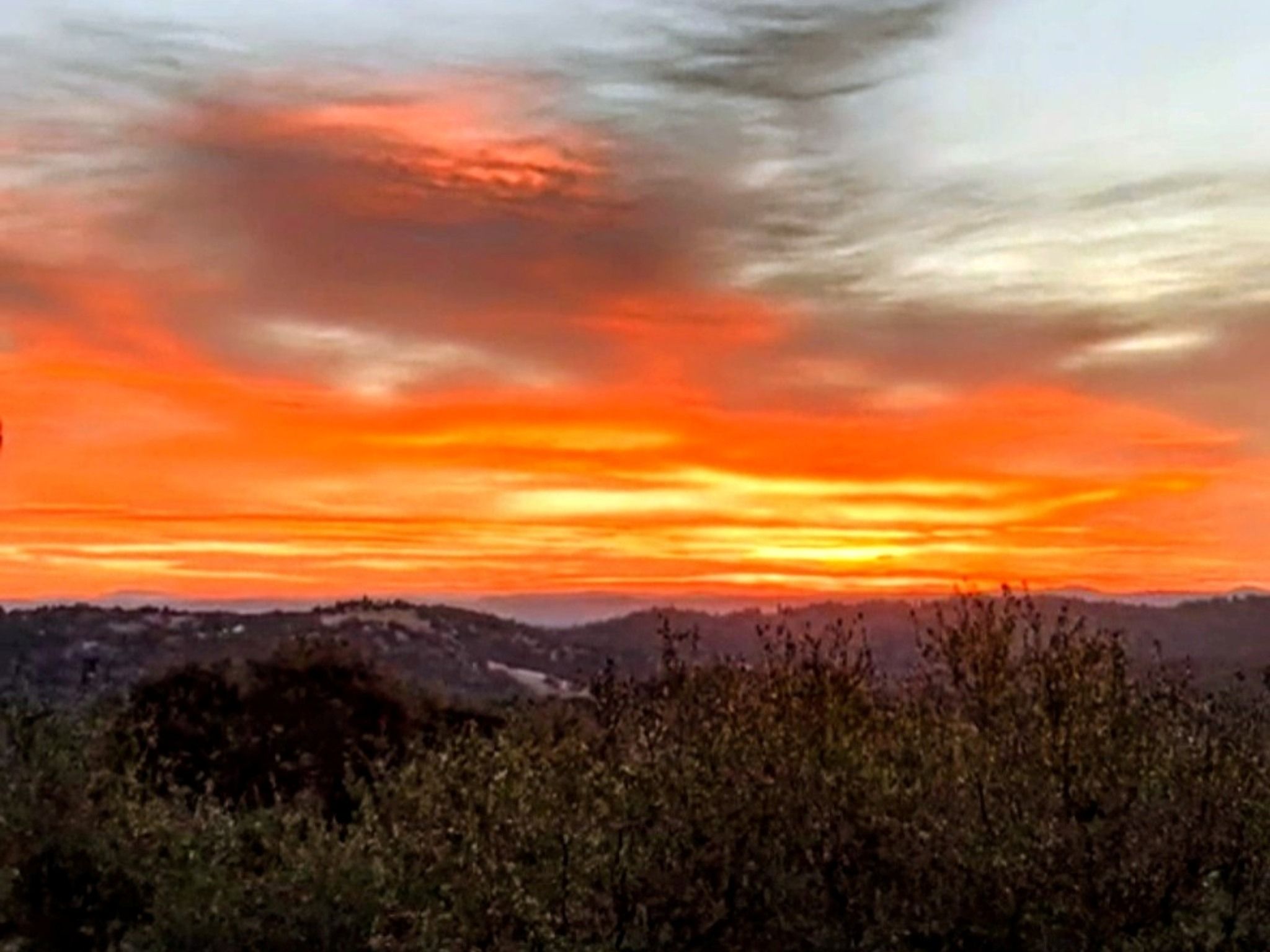  6371 Galena Drive, El Dorado, CA 95623 - 物件實景