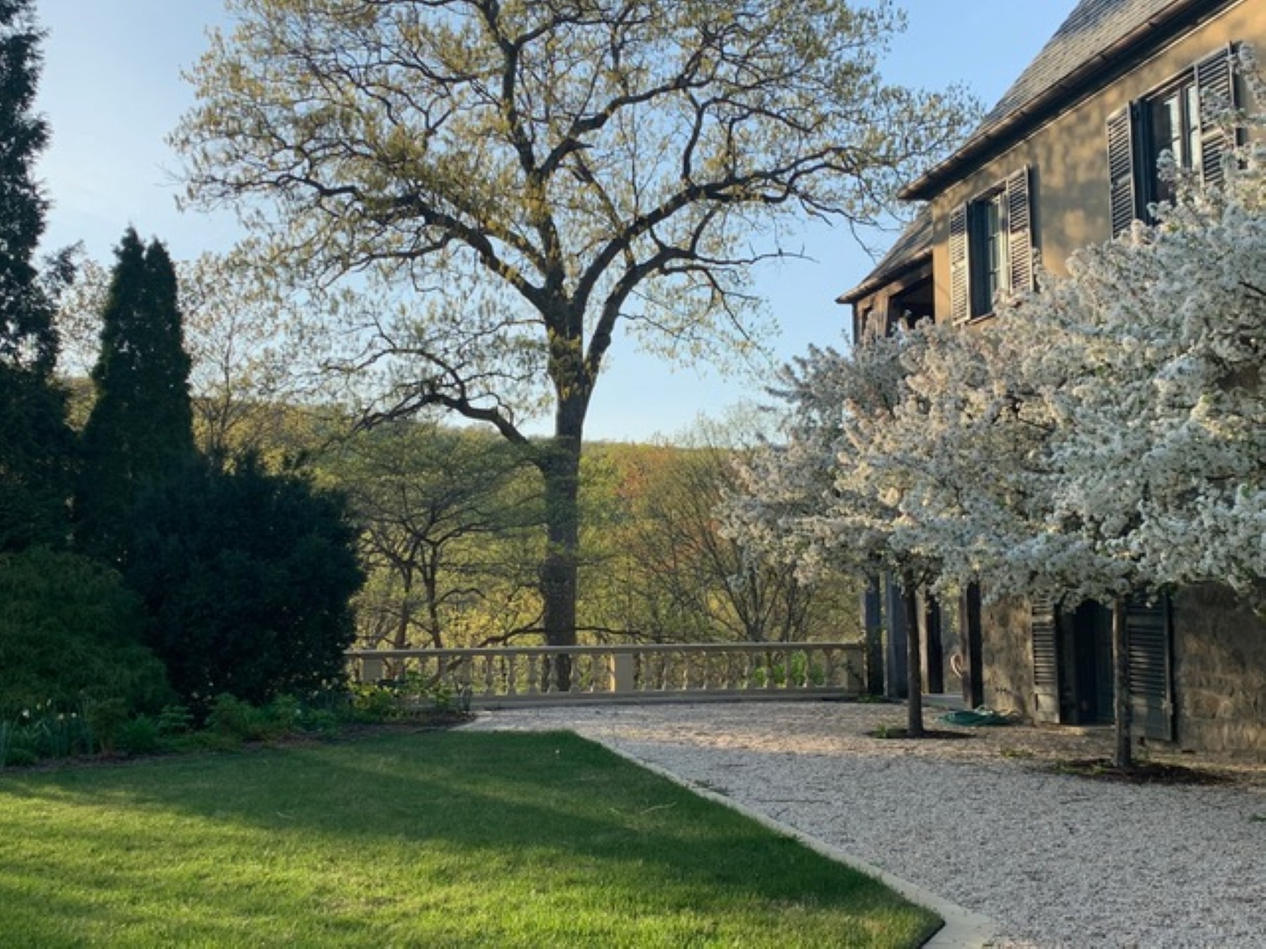  61 Evarts Hill - 物件實景