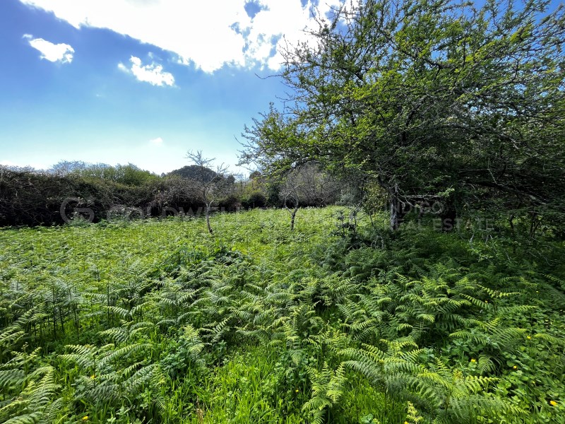 Pontevedra, Moa?a, Moa?a (San Marti?o P. E Virxe d, Moaña, Galicia, ES, 7 Bedrooms Bedrooms, ,2 BathroomsBathrooms,Residential,For Sale,Pontevedra, Moa?a, Moa?a (San Marti?o P. E Virxe d,1623275