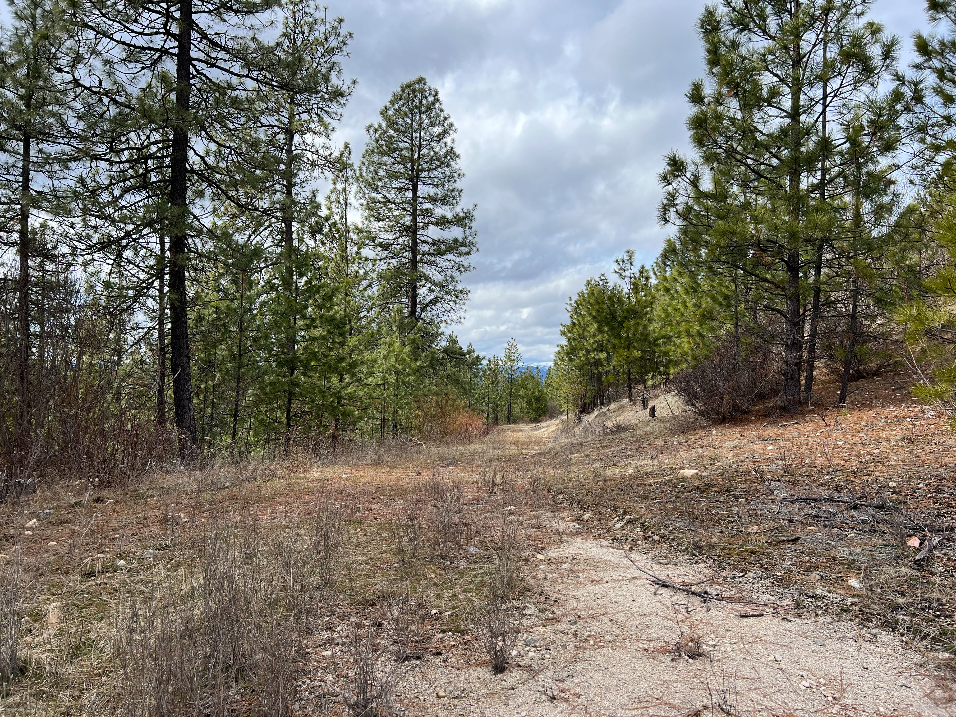 Valley, Washington, 99181, United States, ,Land,For Sale,1979391