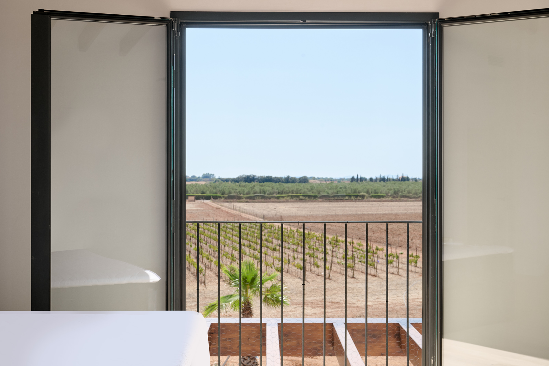  Contemporary estate with guest apartment and vineyard in Inca - 物件實景