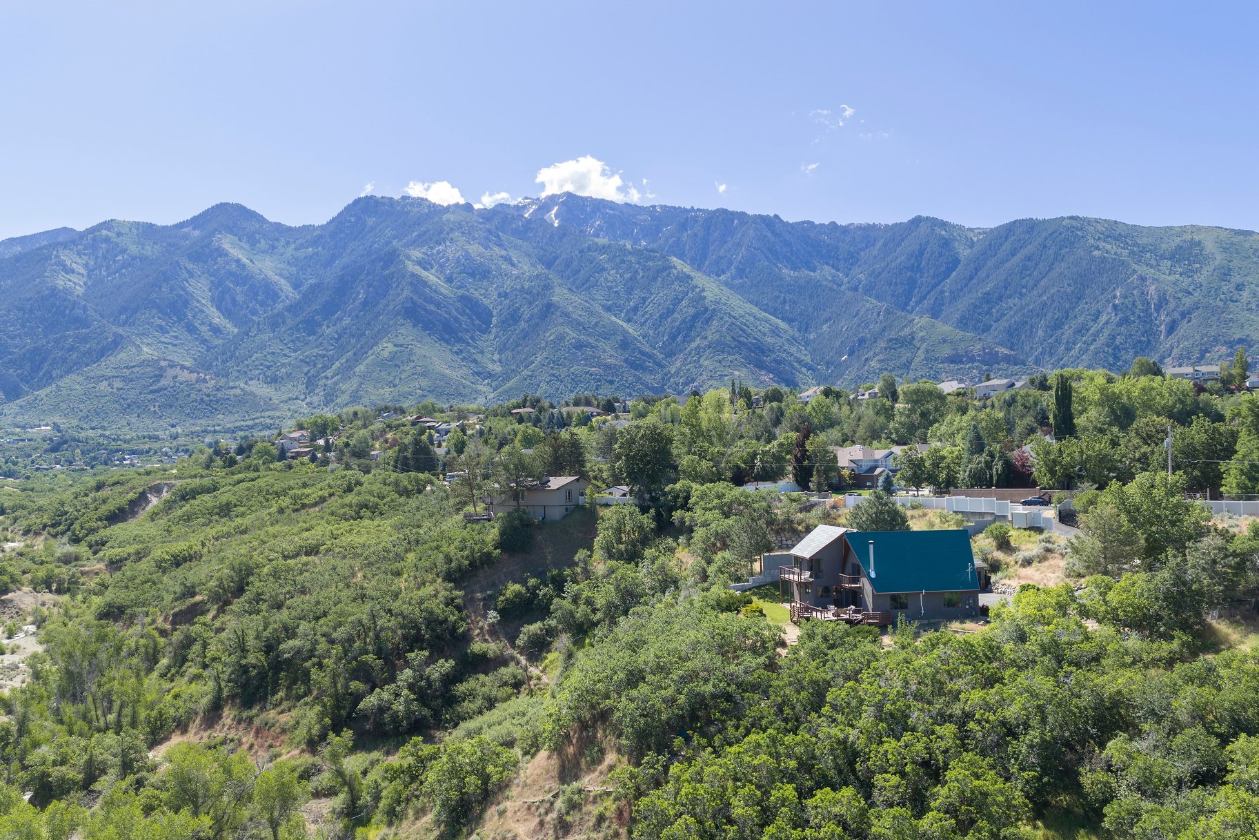  Horse Property Backing Up to Dimple Dell Park - 物件實景