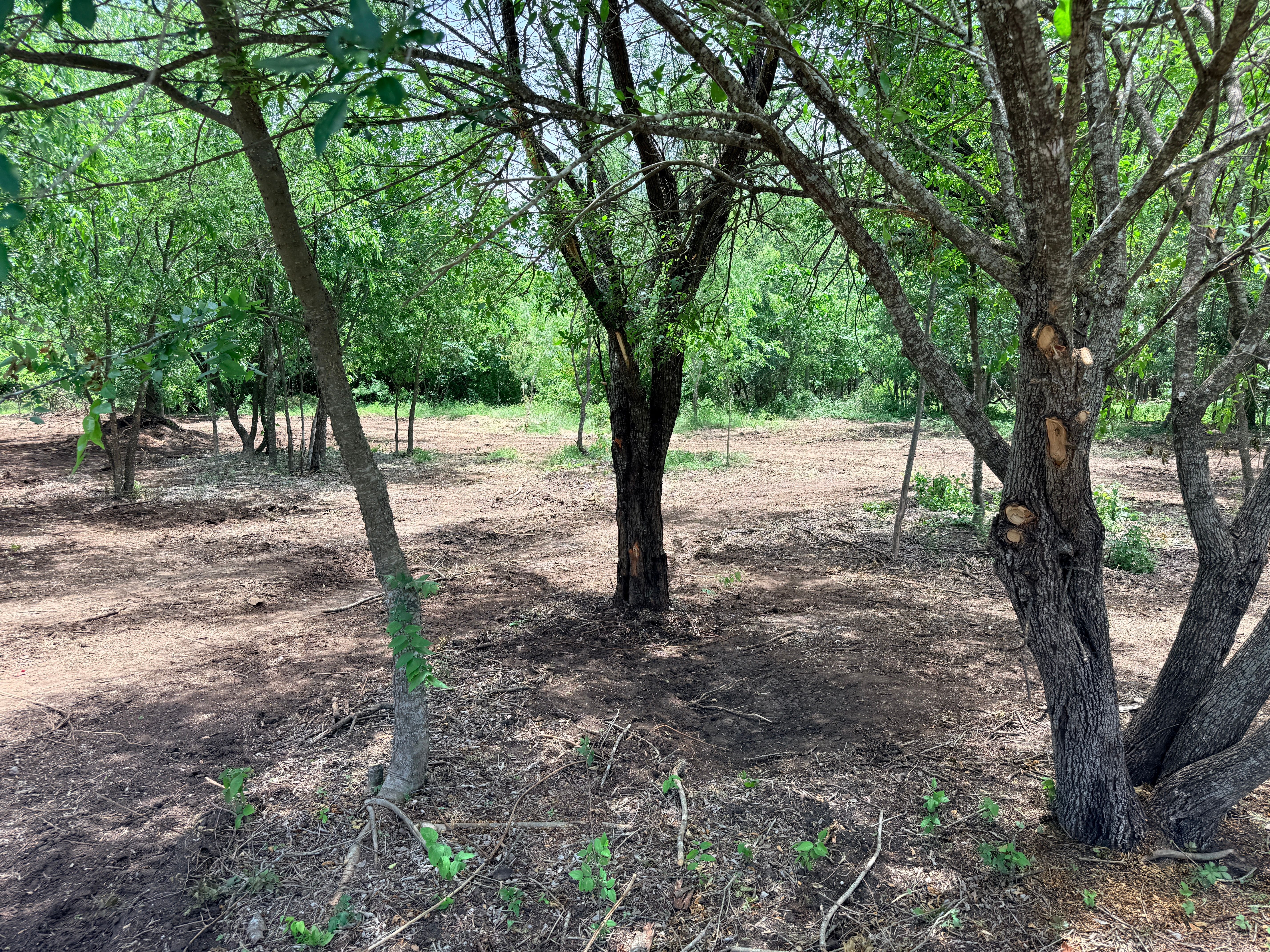  Secluded 1-acre Lot - 物件實景