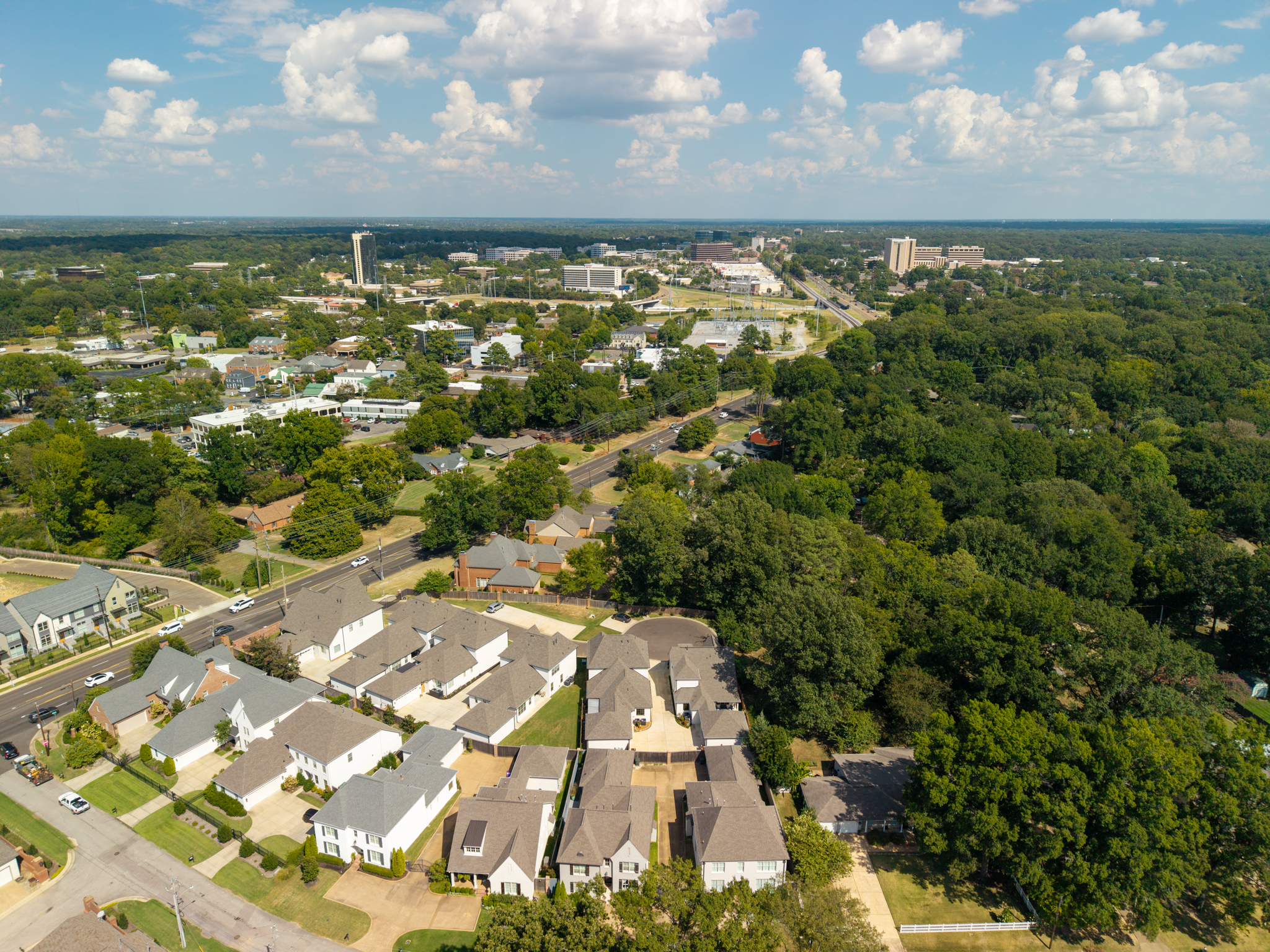  1121 Park Green Cove, Memphis, TN, 38119 - 物件實景