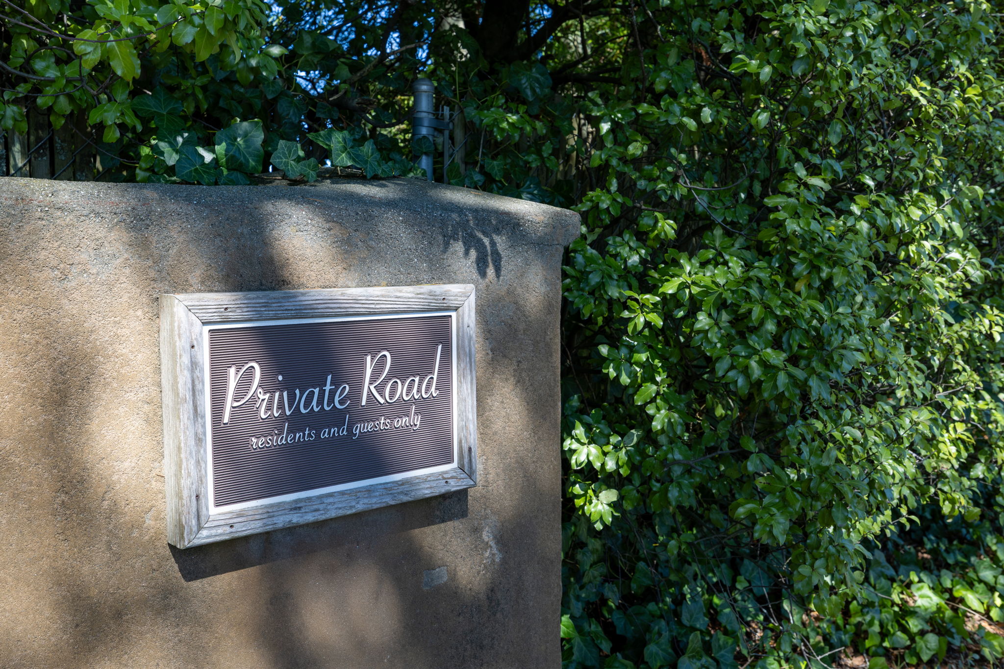  819 Jonive Road - 物件實景