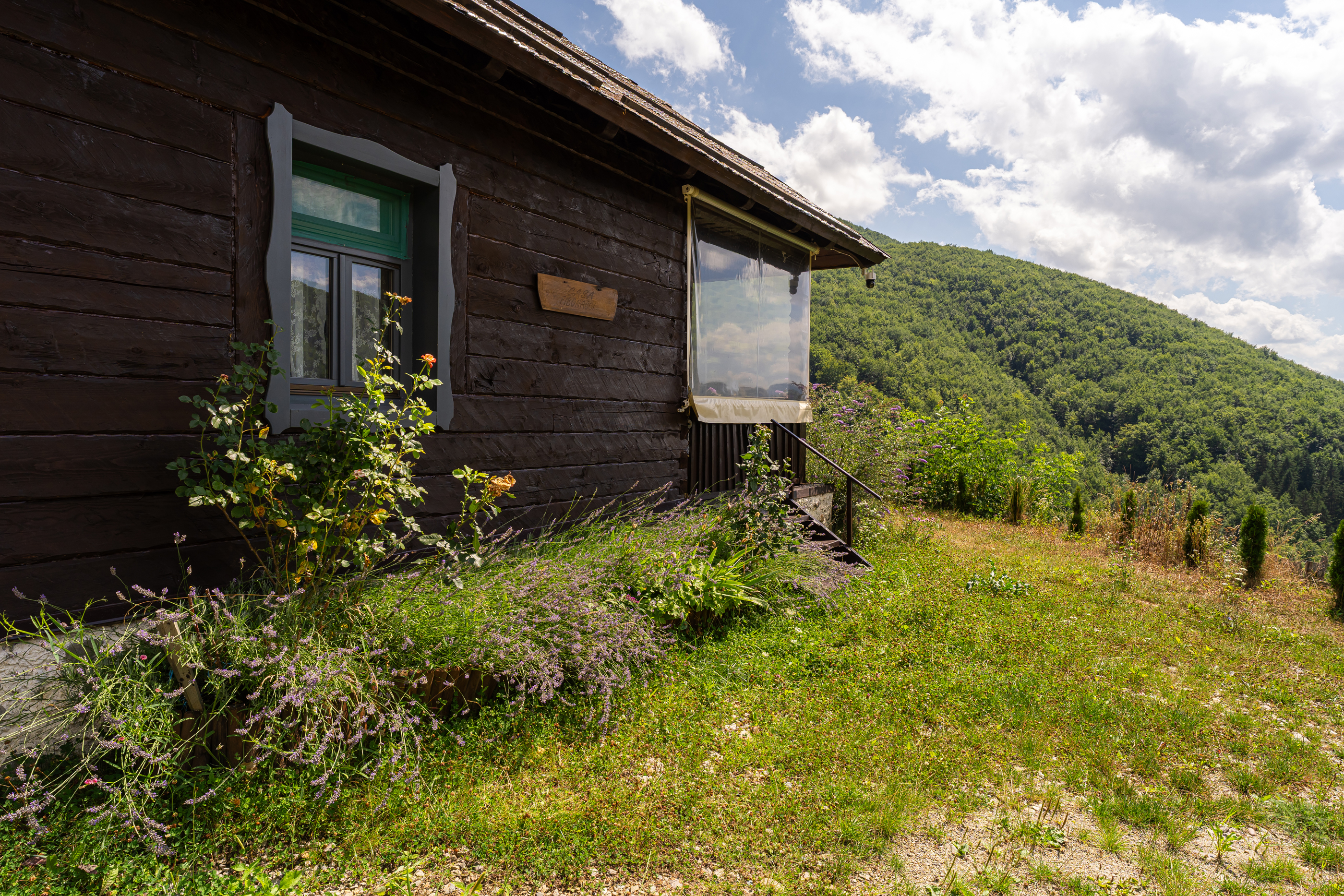  Versatile 22-Hectare Private Estate - Forested Heart of the Apuseni Mountains - 物件實景