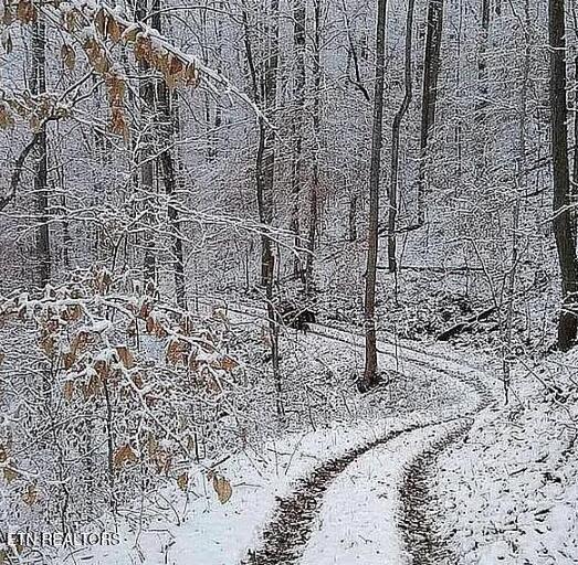 Englewood, Tennessee, 37329, United States, 2 Bedrooms Bedrooms, ,3 BathroomsBathrooms,Residential,For Sale,2002441