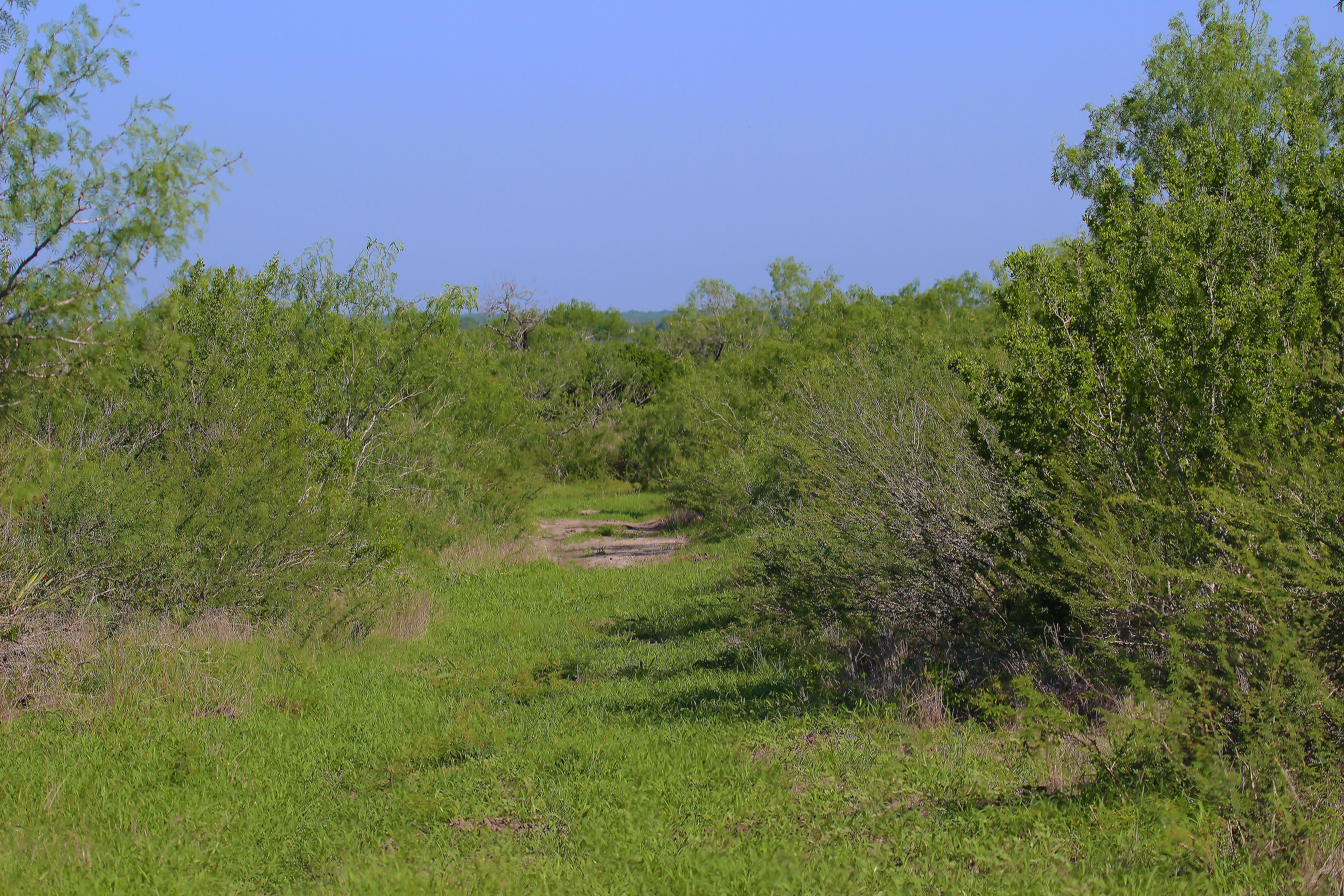  Hidden Acres Ranch - 物件實景