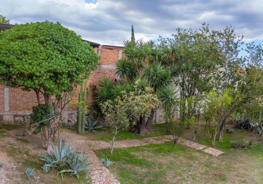 San Miguel de Allende, Guanajuato, 37732, Mexico, 1 Bedroom Bedrooms, ,Residential,For Sale,1804001
