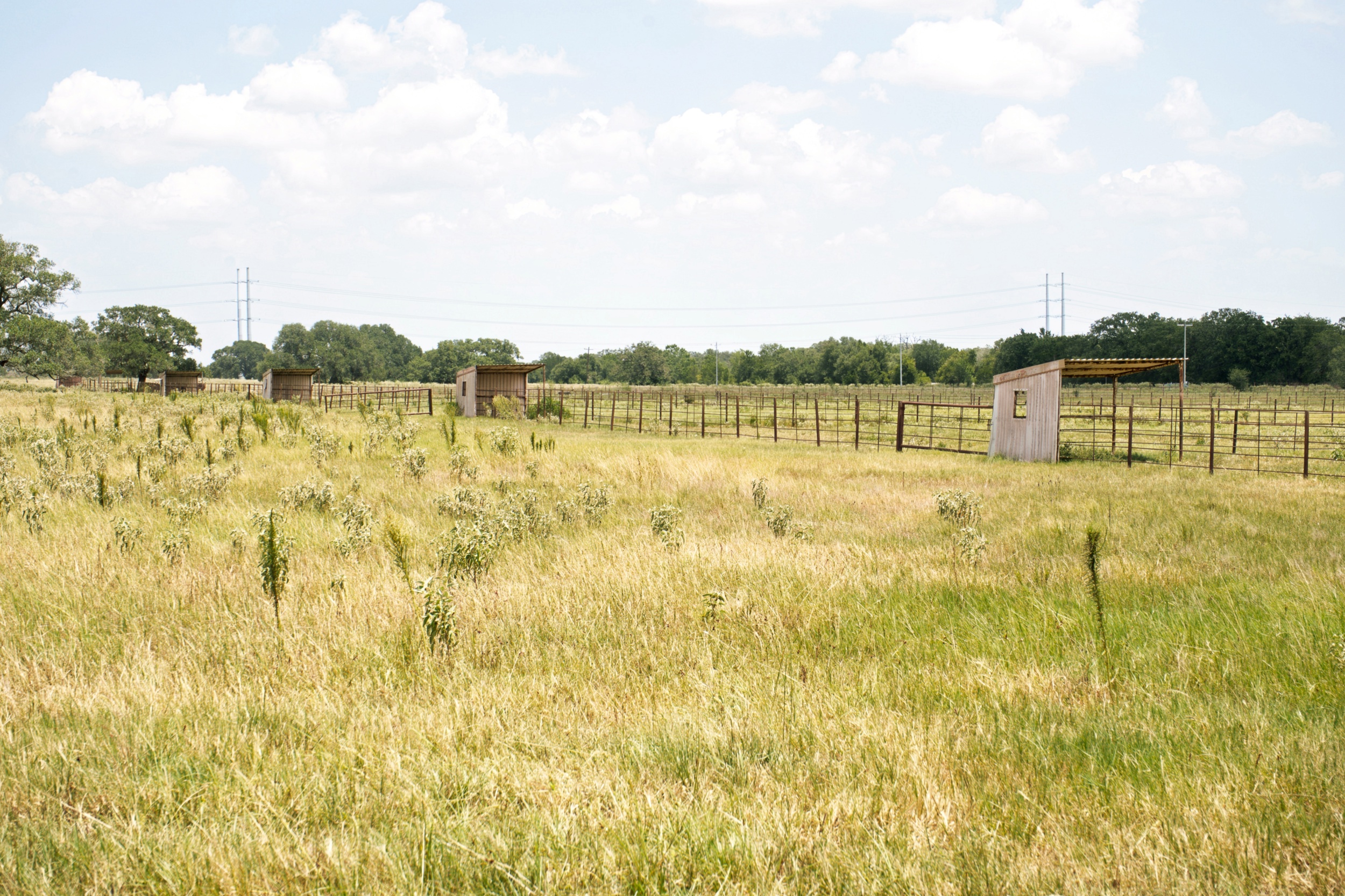  Bar Nothing Ranch, Fayette County - 物件實景